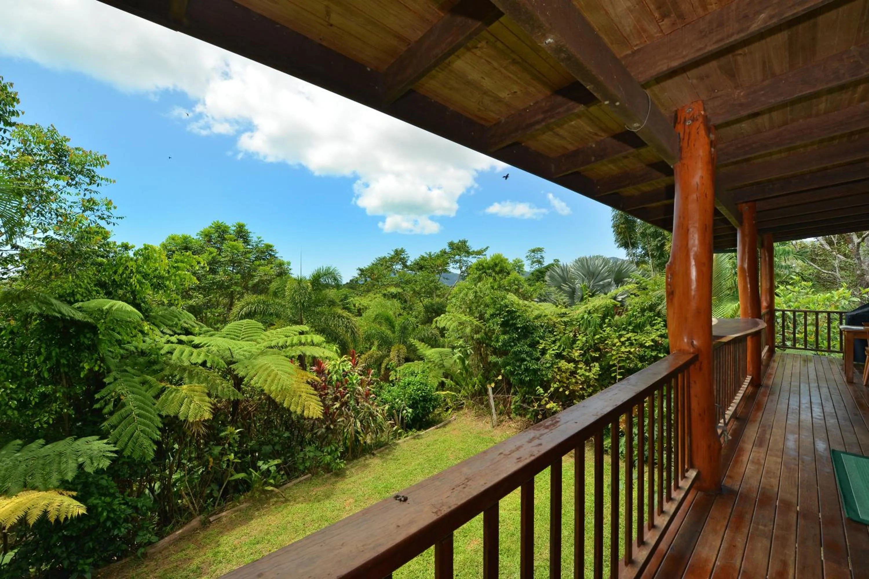 Garden view in Tea Tree Cottage