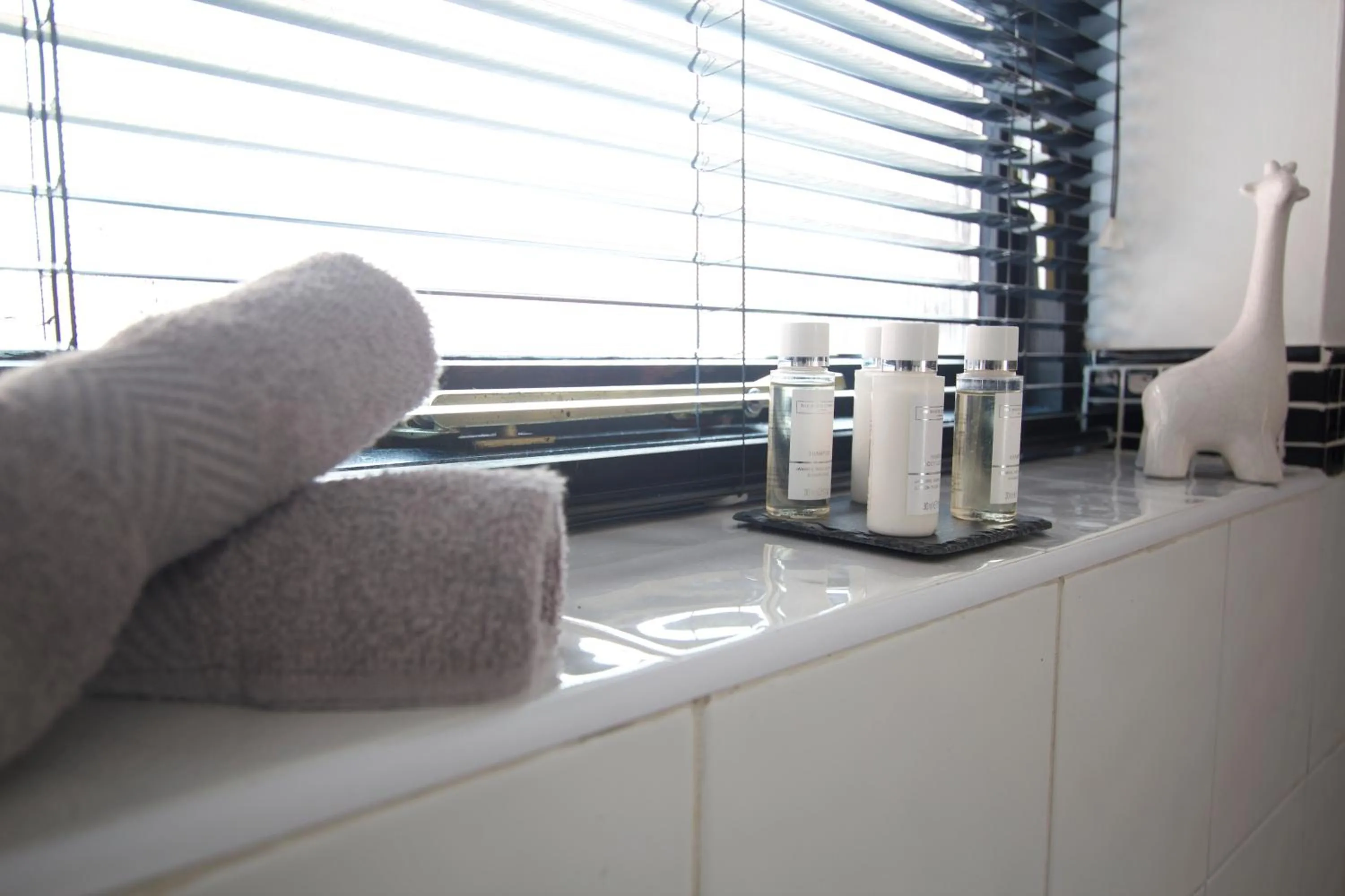 Bathroom in Canal House