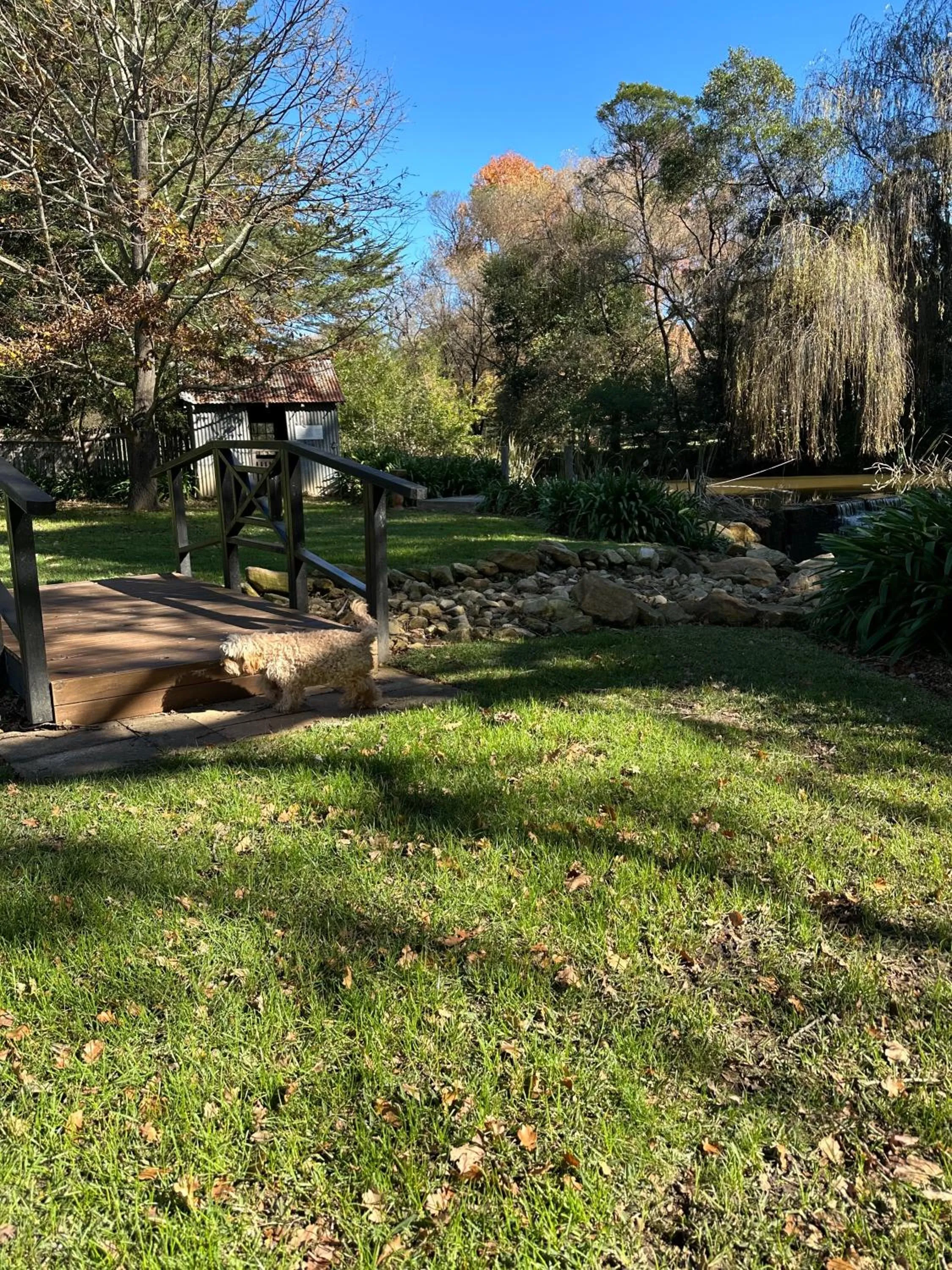 Garden in Fitzroy Inn Historic Retreat Mittagong