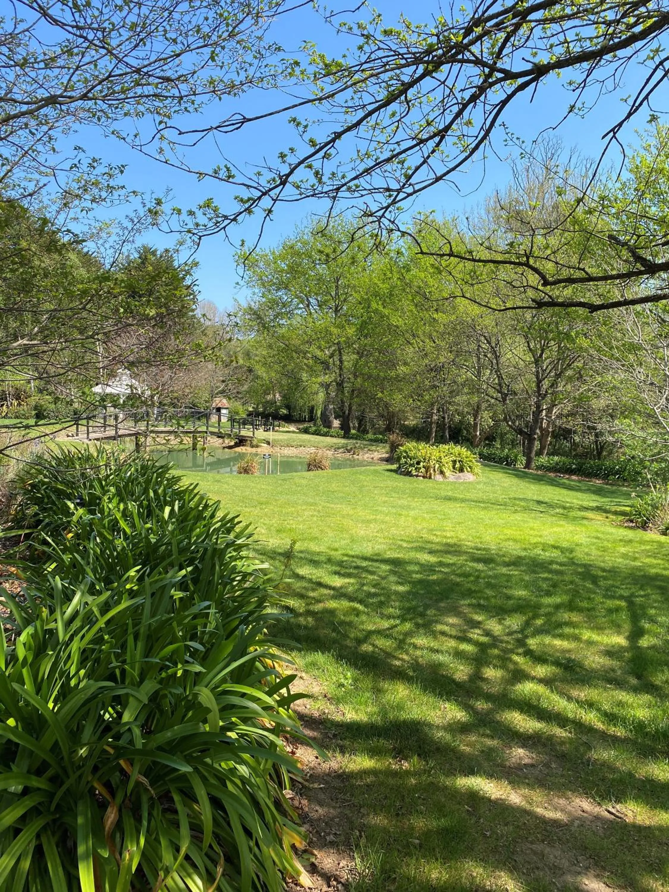 Garden in Fitzroy Inn Historic Retreat Mittagong