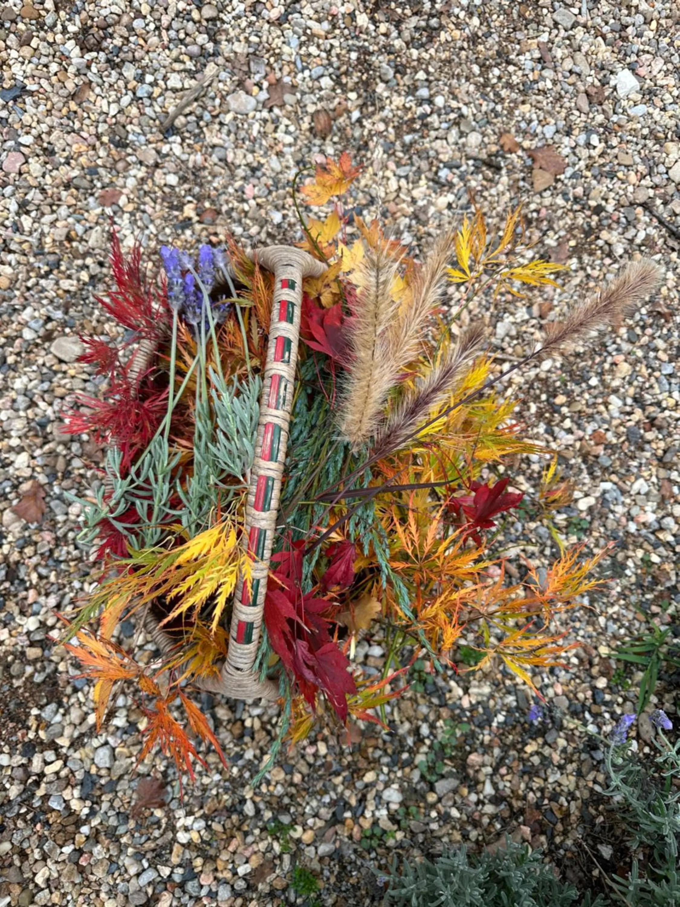 Autumn in Fitzroy Inn Historic Retreat Mittagong