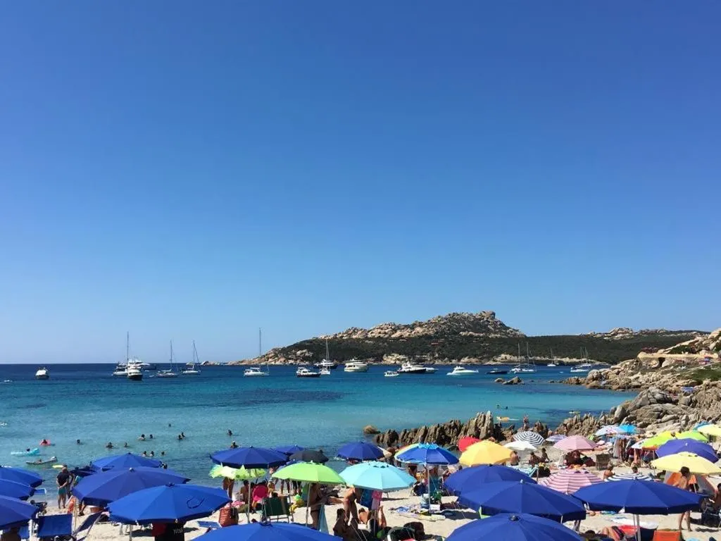 Natural landscape in Unique Art