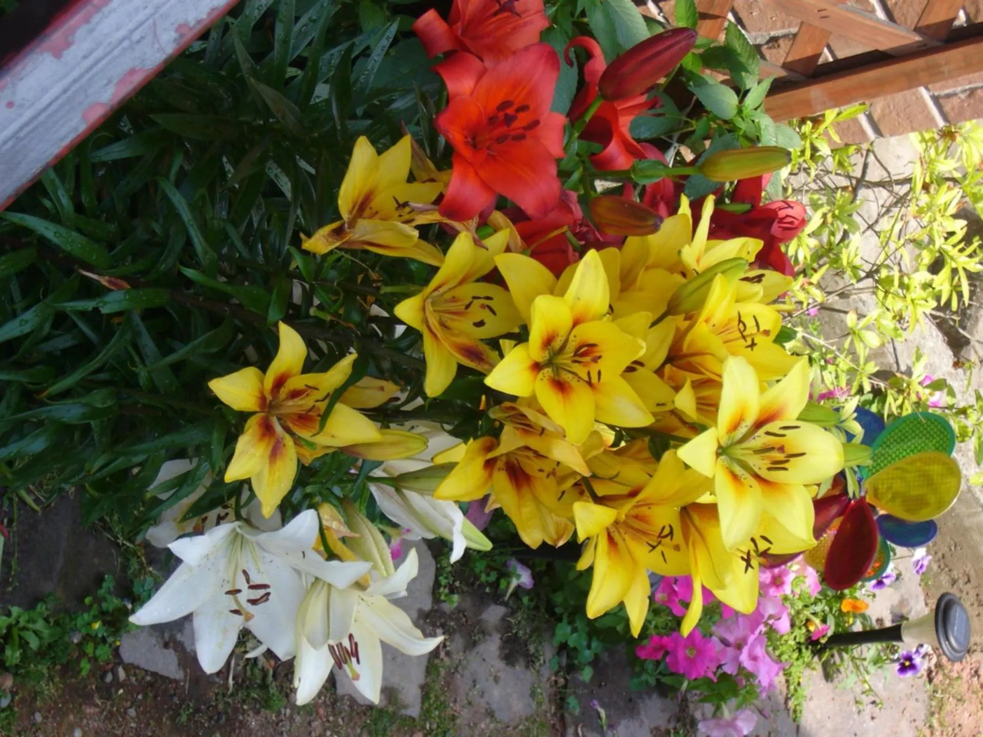 Spring in Minshuku Mutsukari