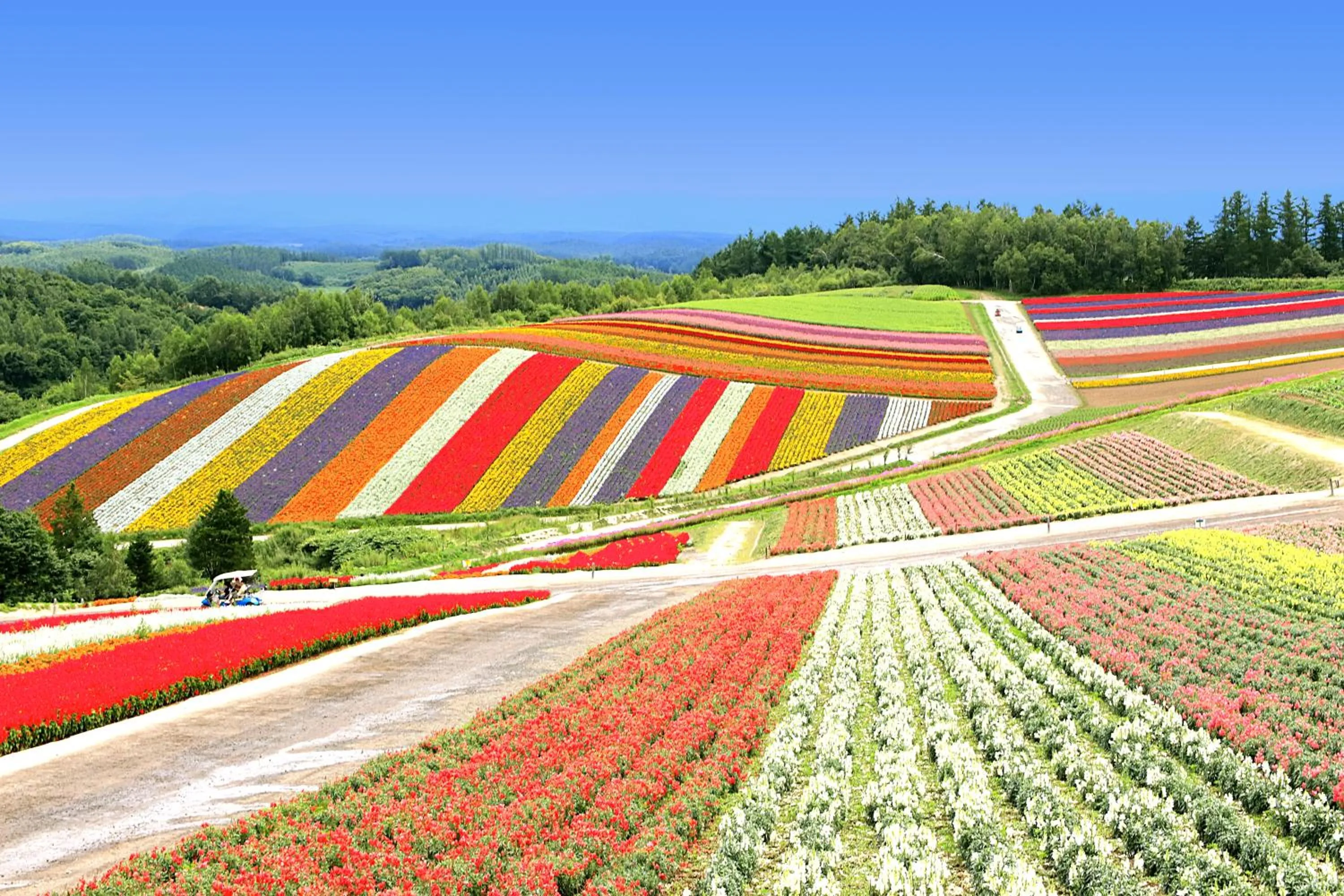 Nearby landmark in Biei Shirogane Onsen Hotel Park Hills