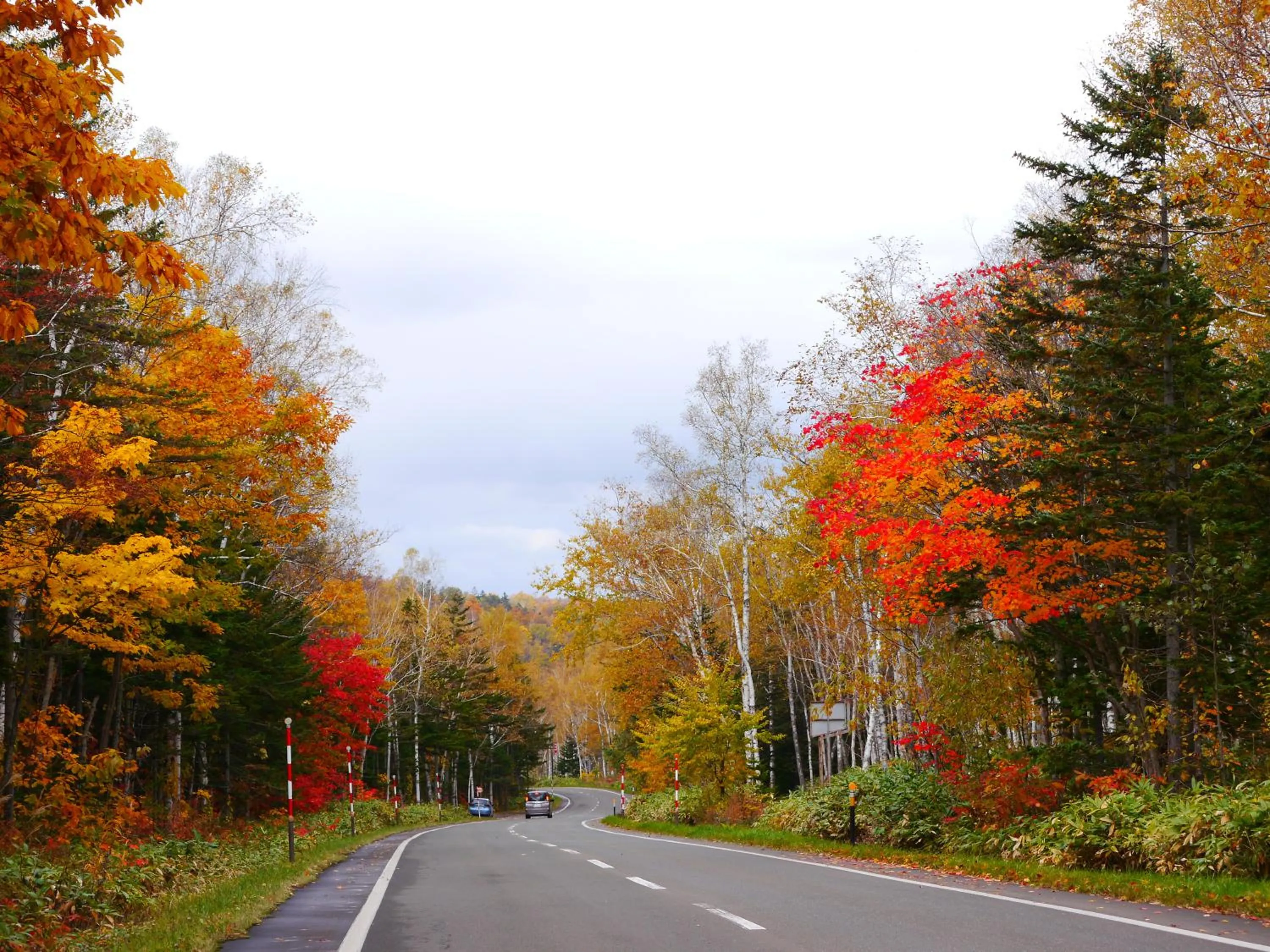 Off site in Biei Shirogane Onsen Hotel Park Hills