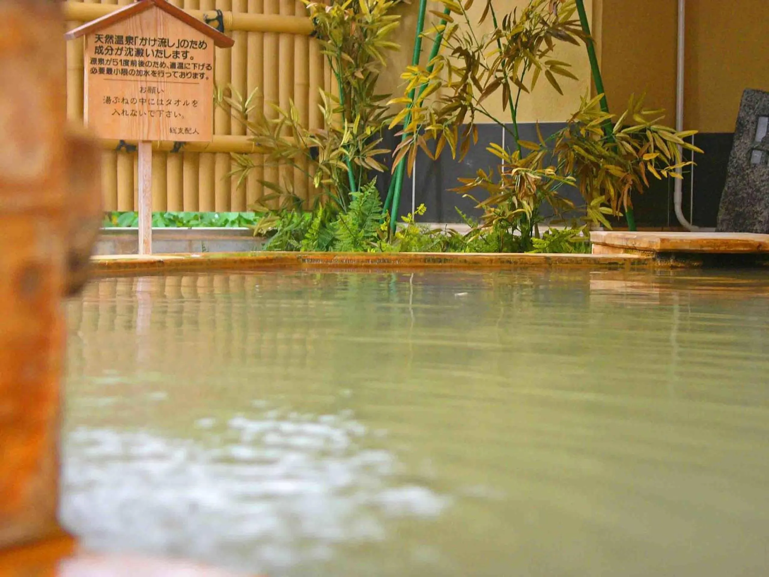 Hot Spring Bath in Biei Shirogane Onsen Hotel Park Hills