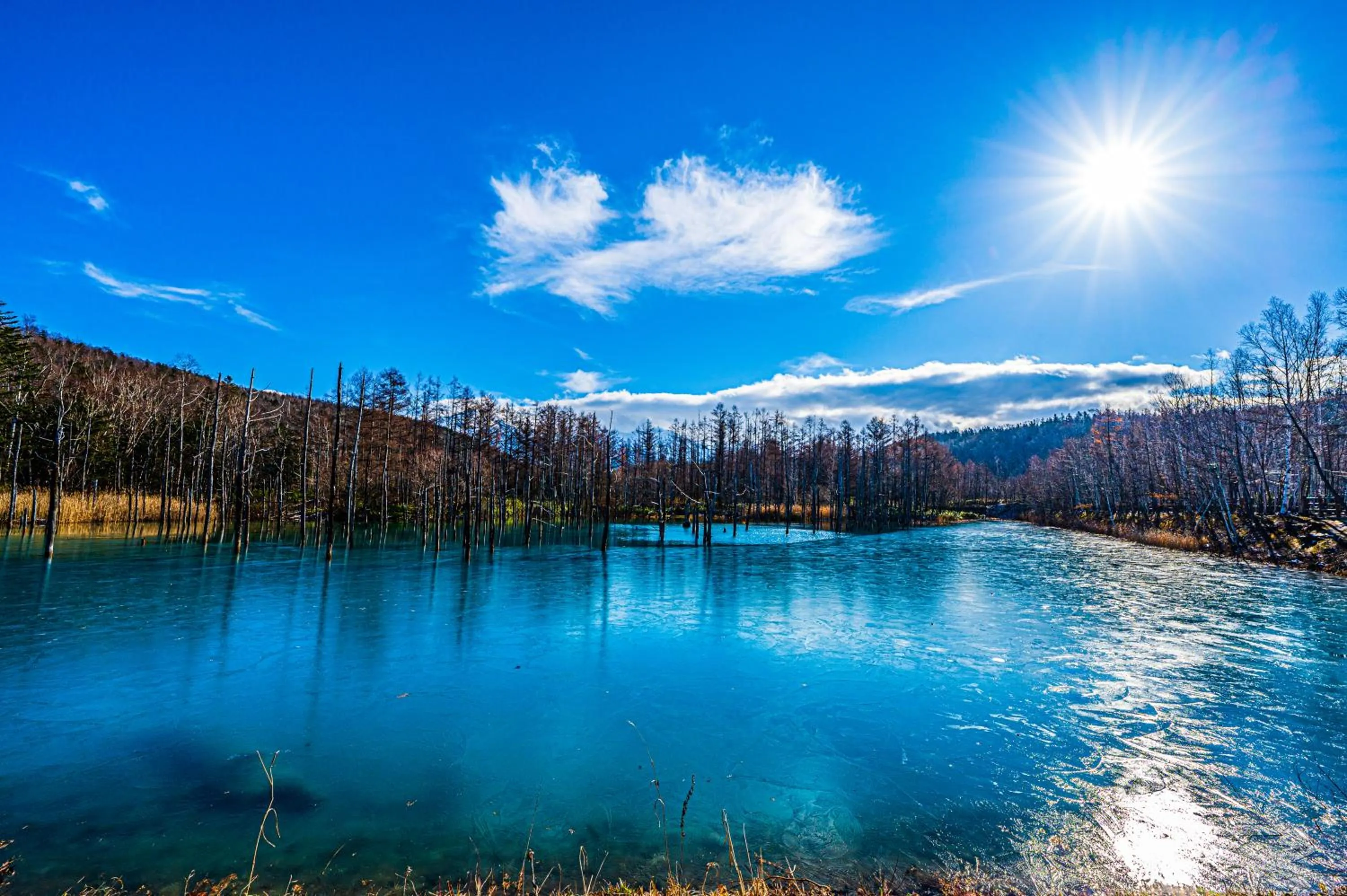 Nearby landmark in Biei Shirogane Onsen Hotel Park Hills