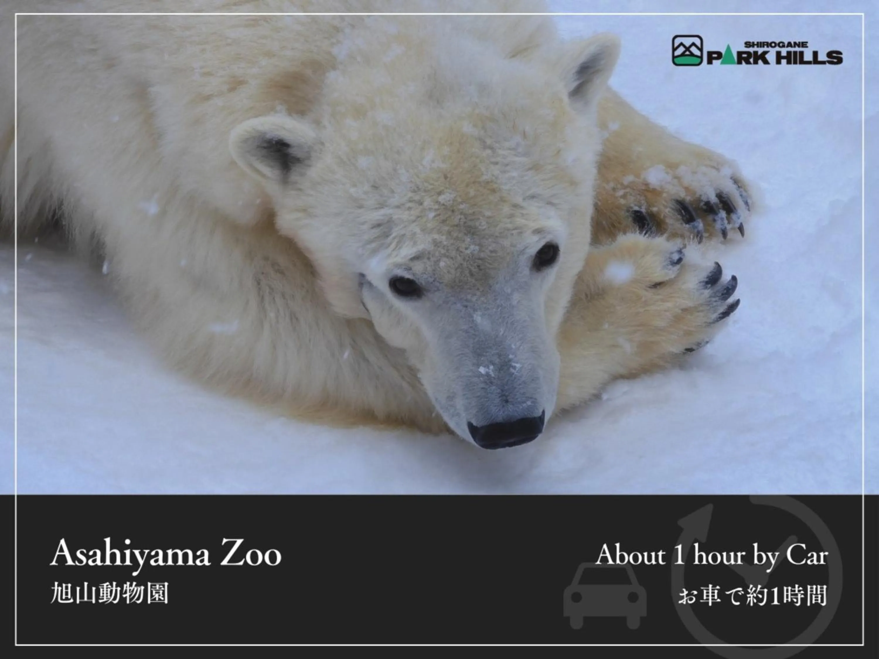 Nearby landmark in Biei Shirogane Onsen Hotel Park Hills