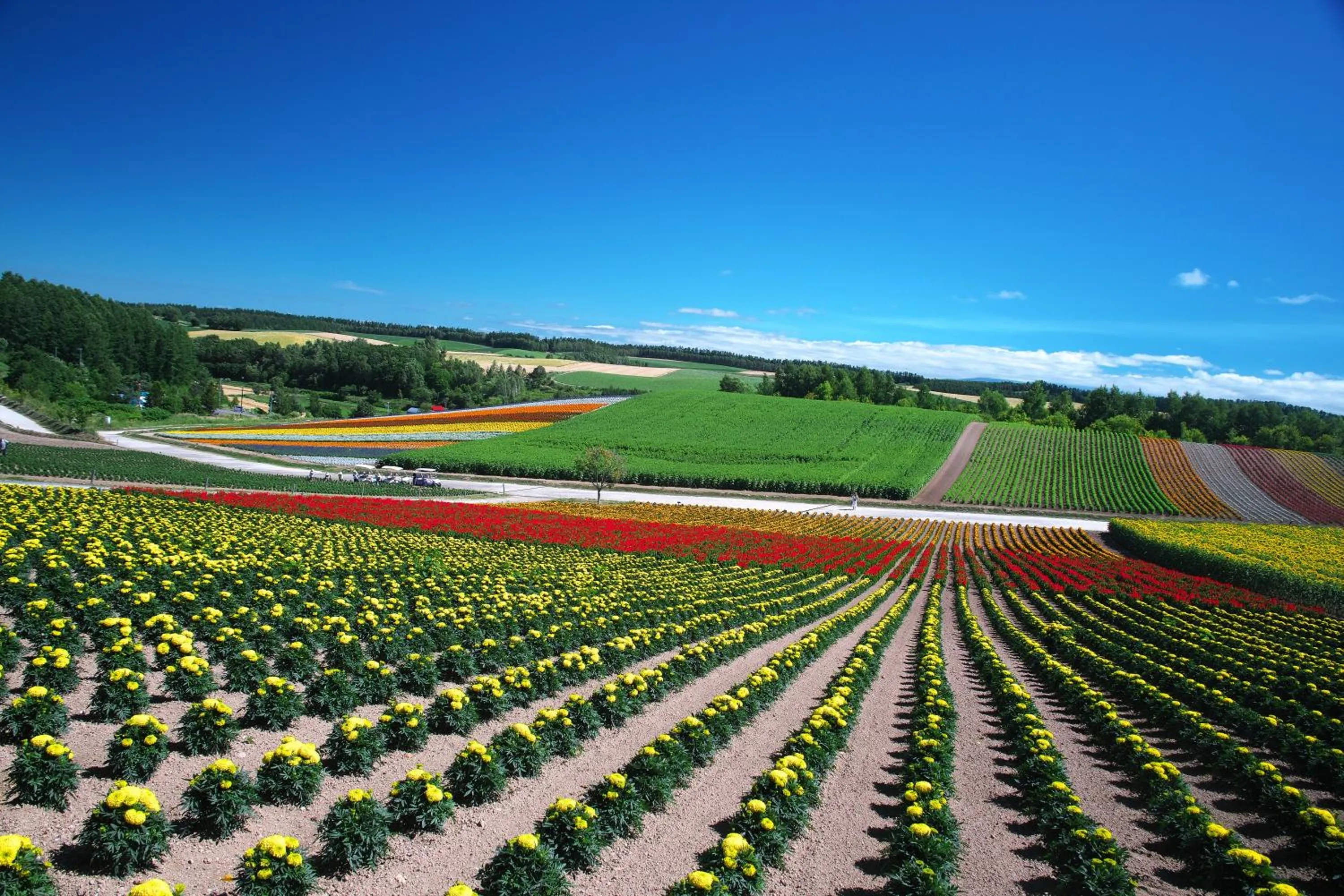 Nearby landmark in Biei Shirogane Onsen Hotel Park Hills