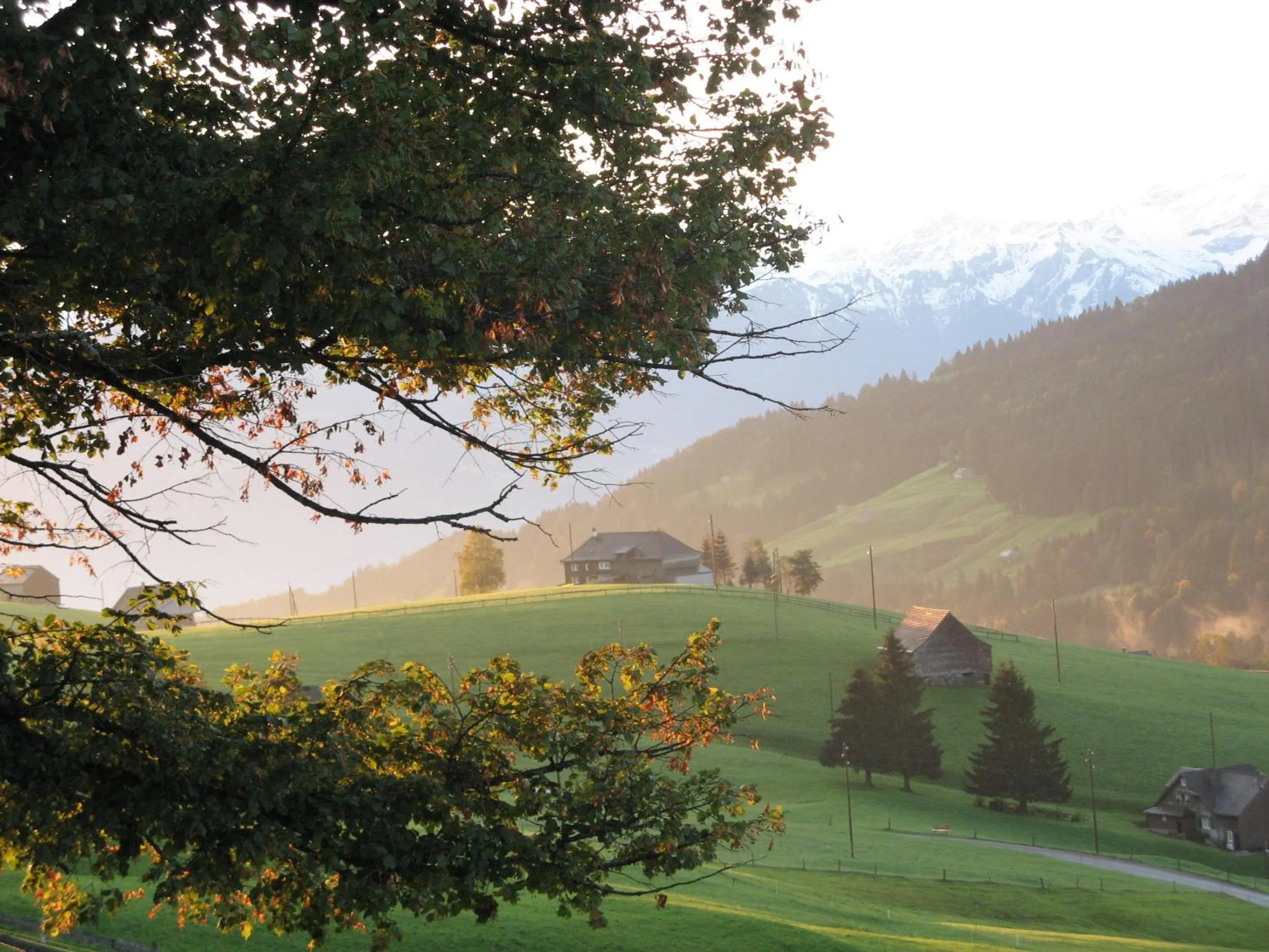 Area and facilities in Zimmer & z'Morgä Schönenboden