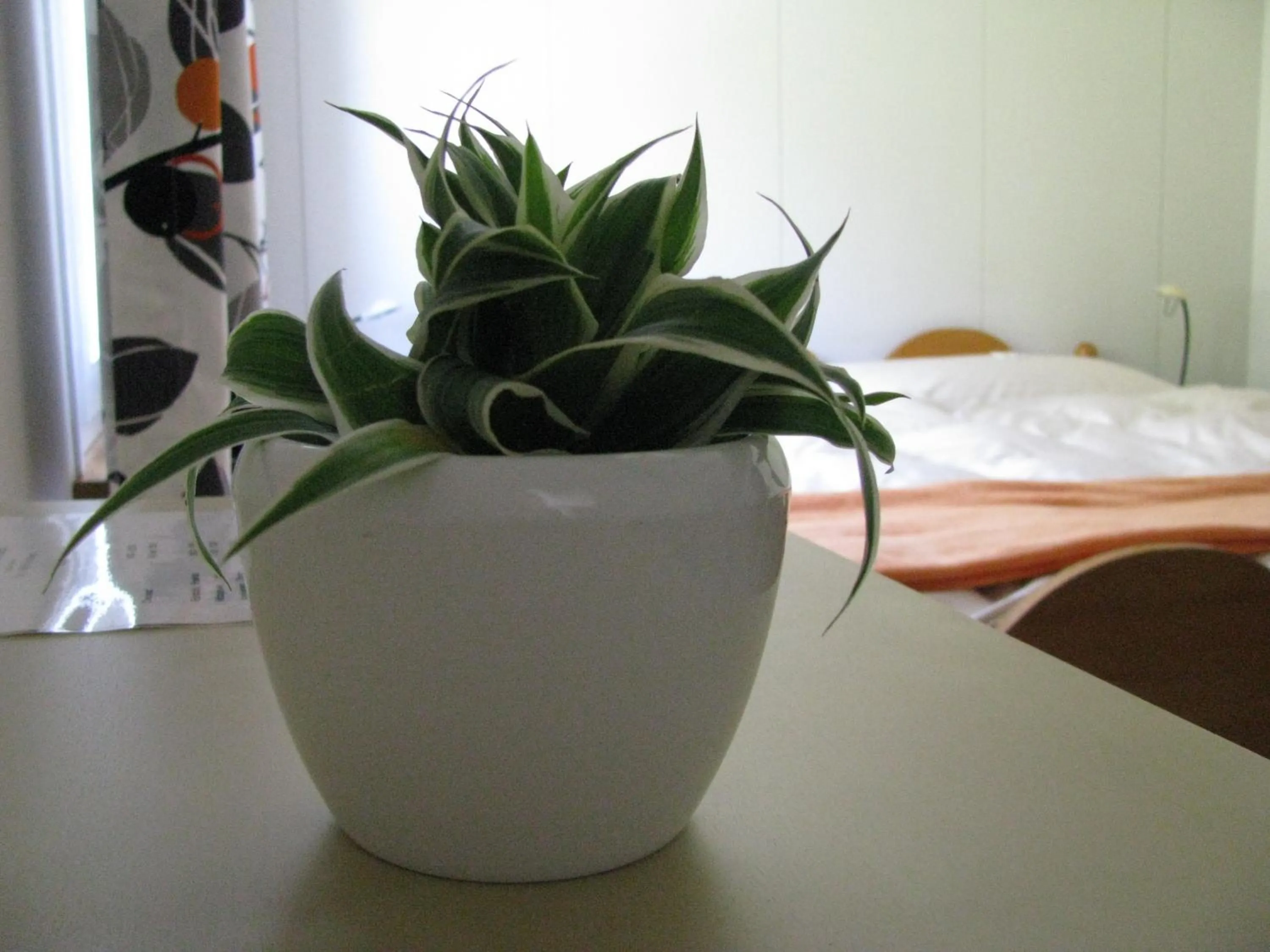 Other in Zimmer & z'Morgä Schönenboden