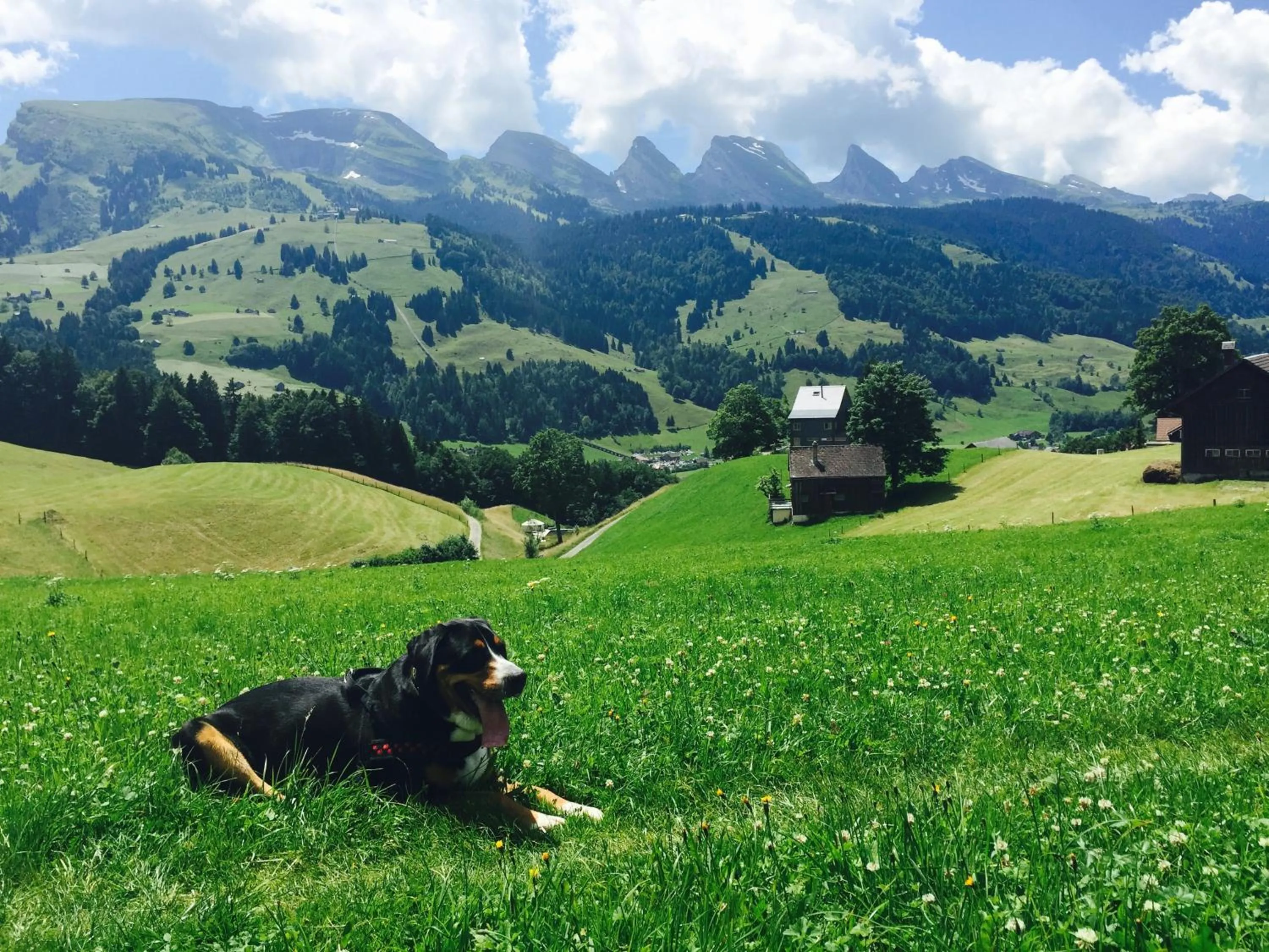 Hiking in Zimmer & z'Morgä Schönenboden