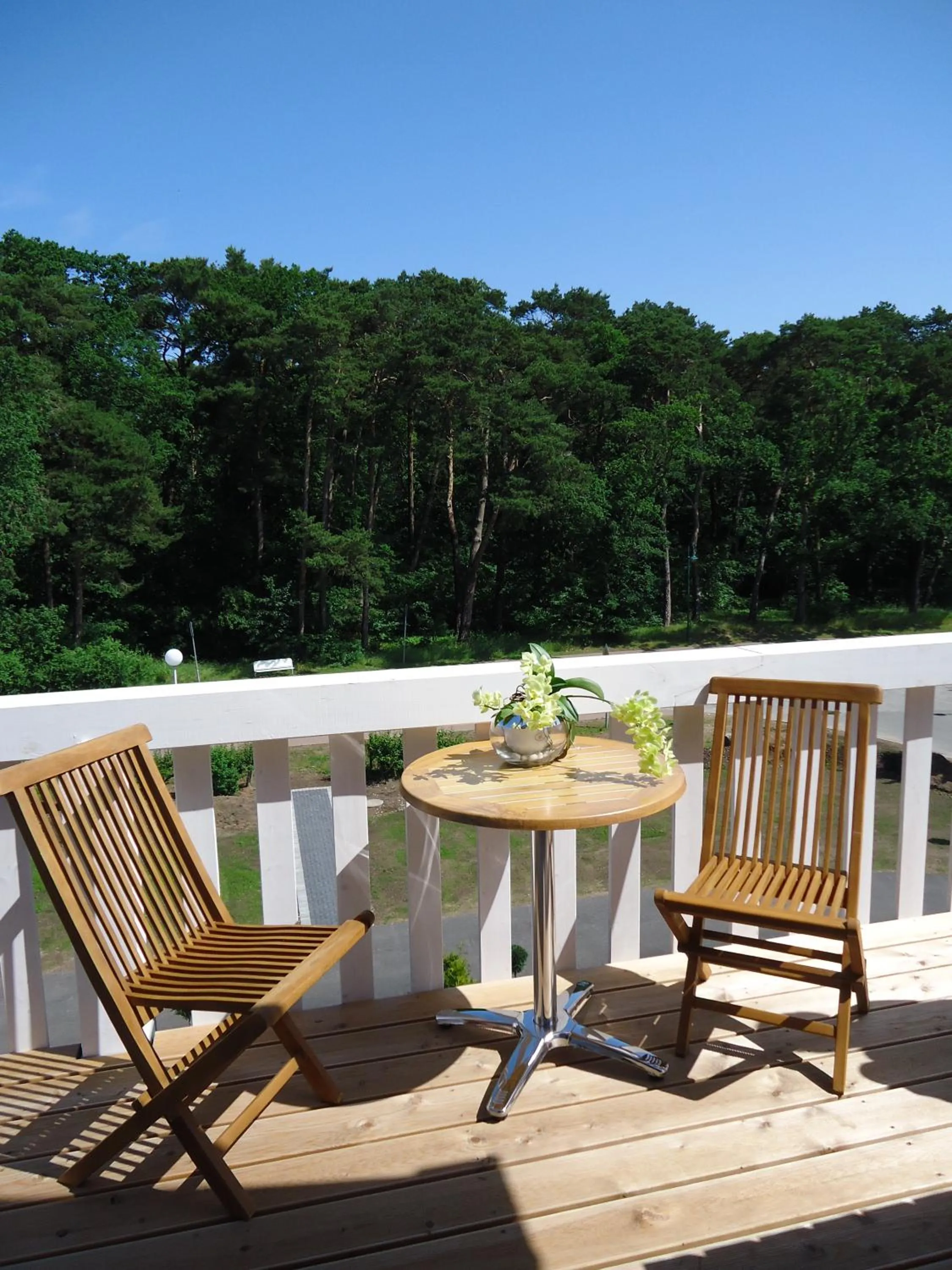 View (from property/room) in Ostseehotel Boltenhagen