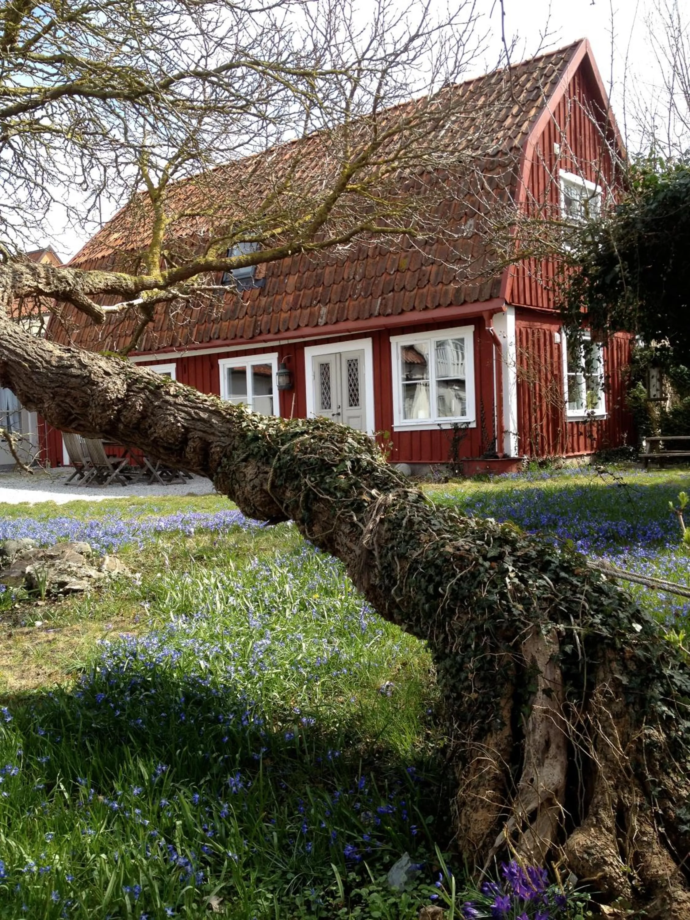 Facade/entrance in Mullbärsgårdens Bed and Breakfast