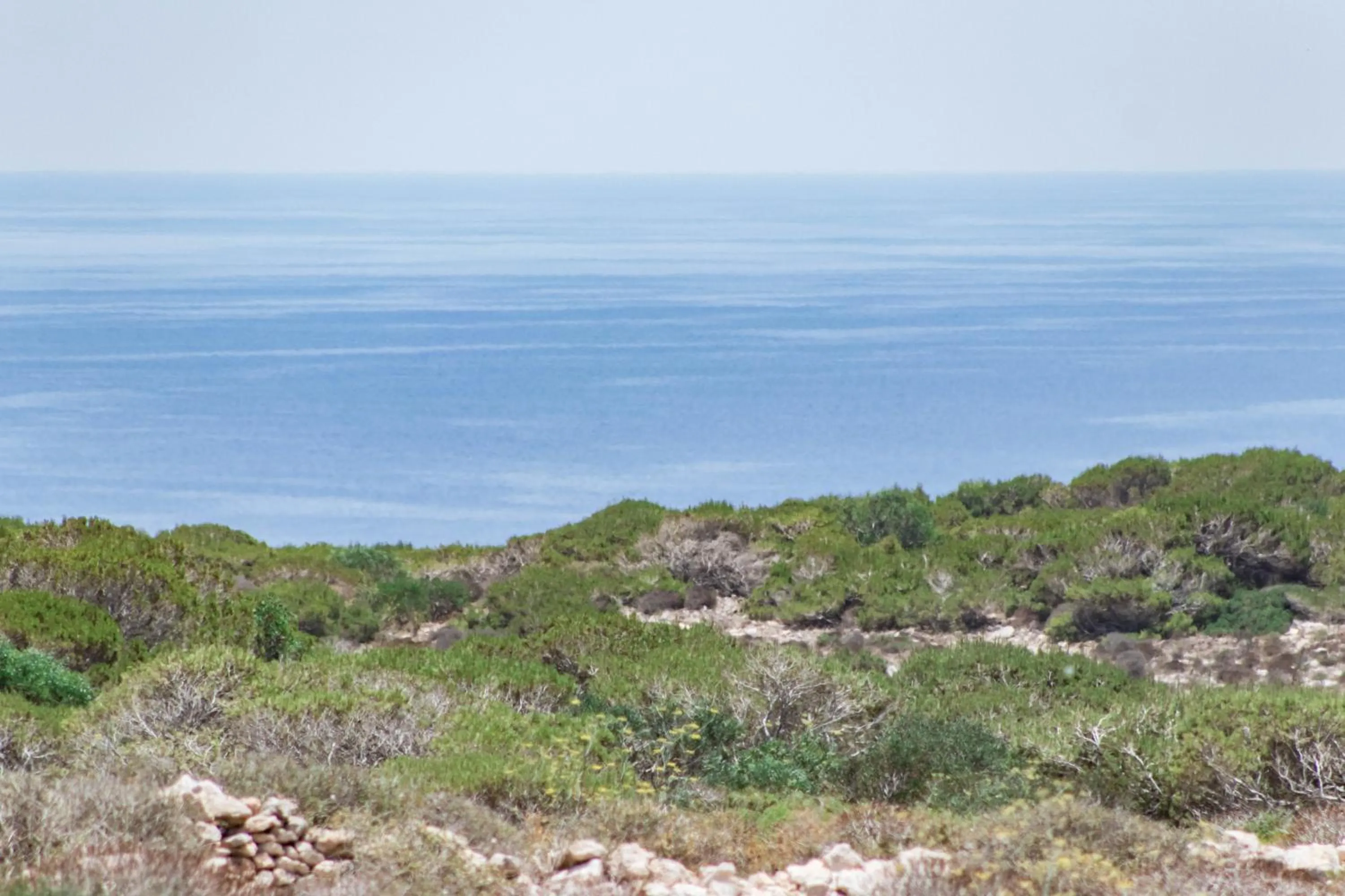 Natural landscape in Casa Zita Lampedusa