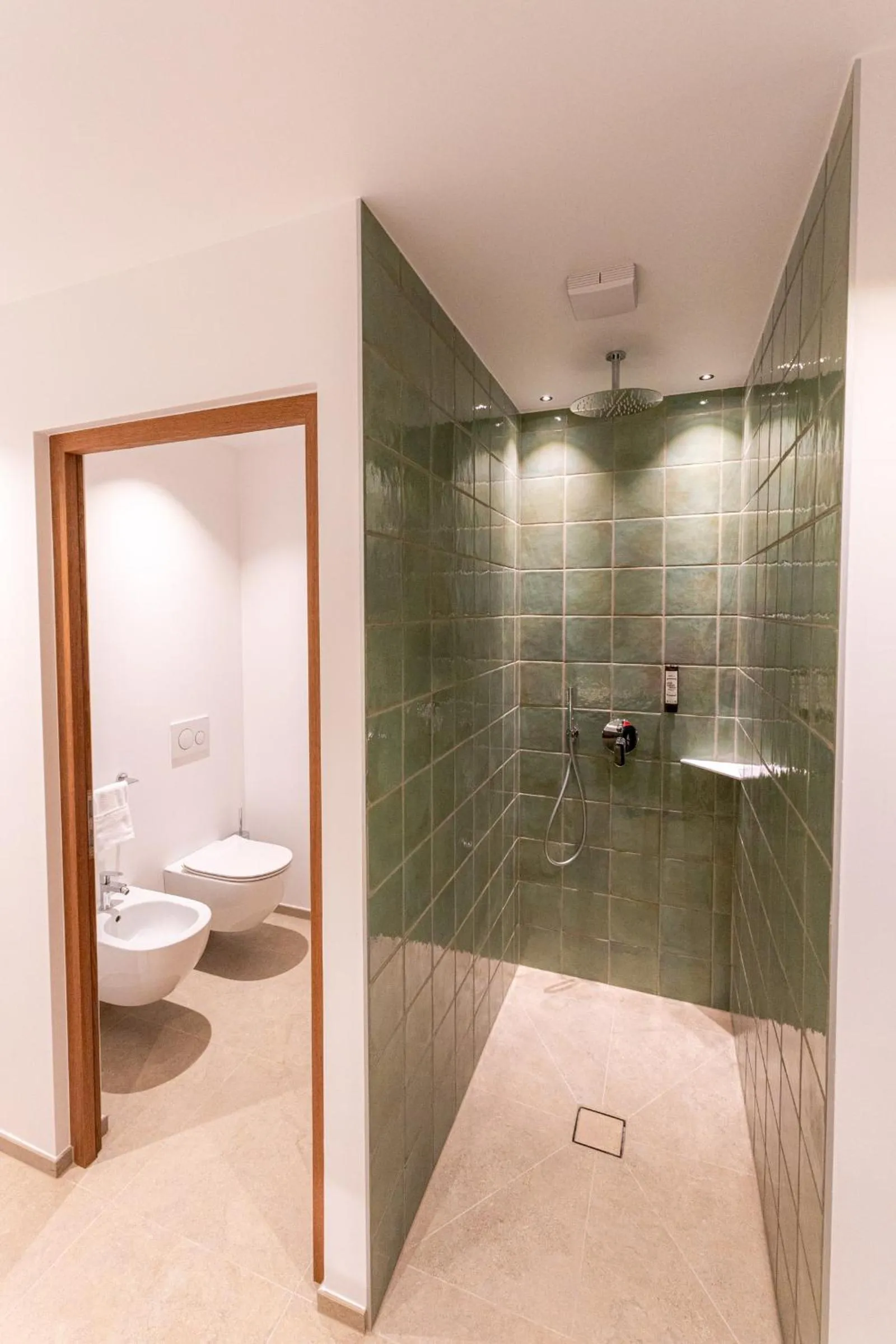 Shower in Hotel Tenz