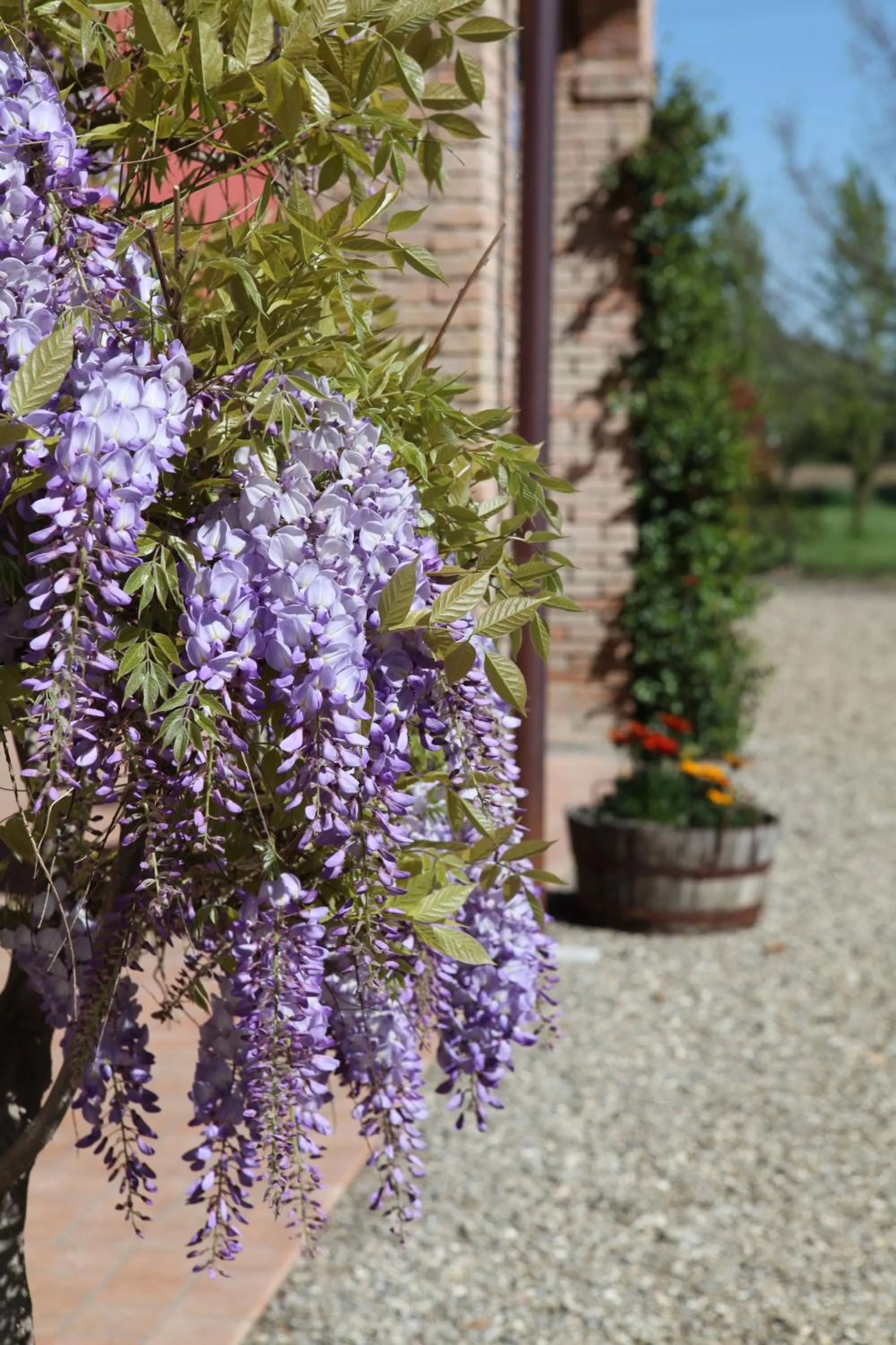 Patio in B&B Podere Merlo