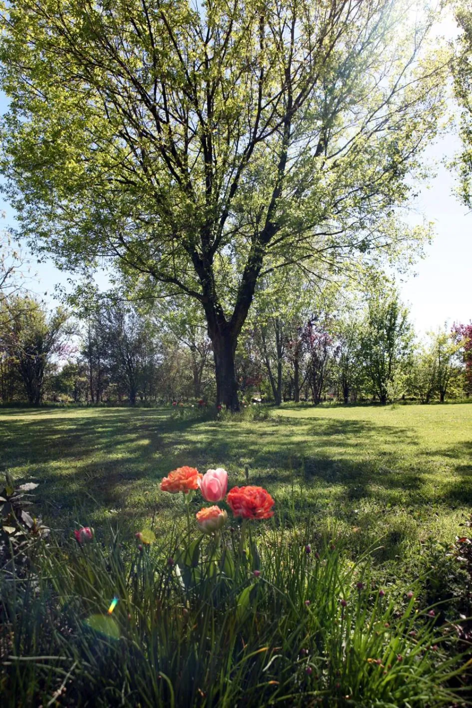 Garden in B&B Podere Merlo