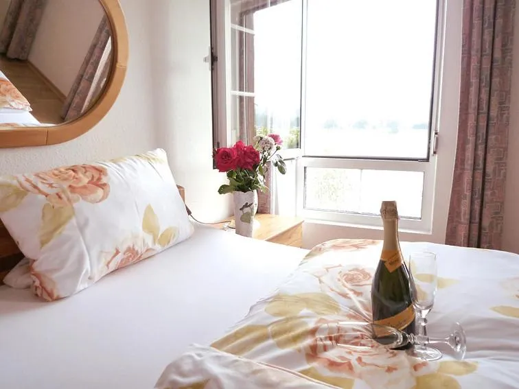 Alcoholic drinks, Bed in Hotel Vater Rhein