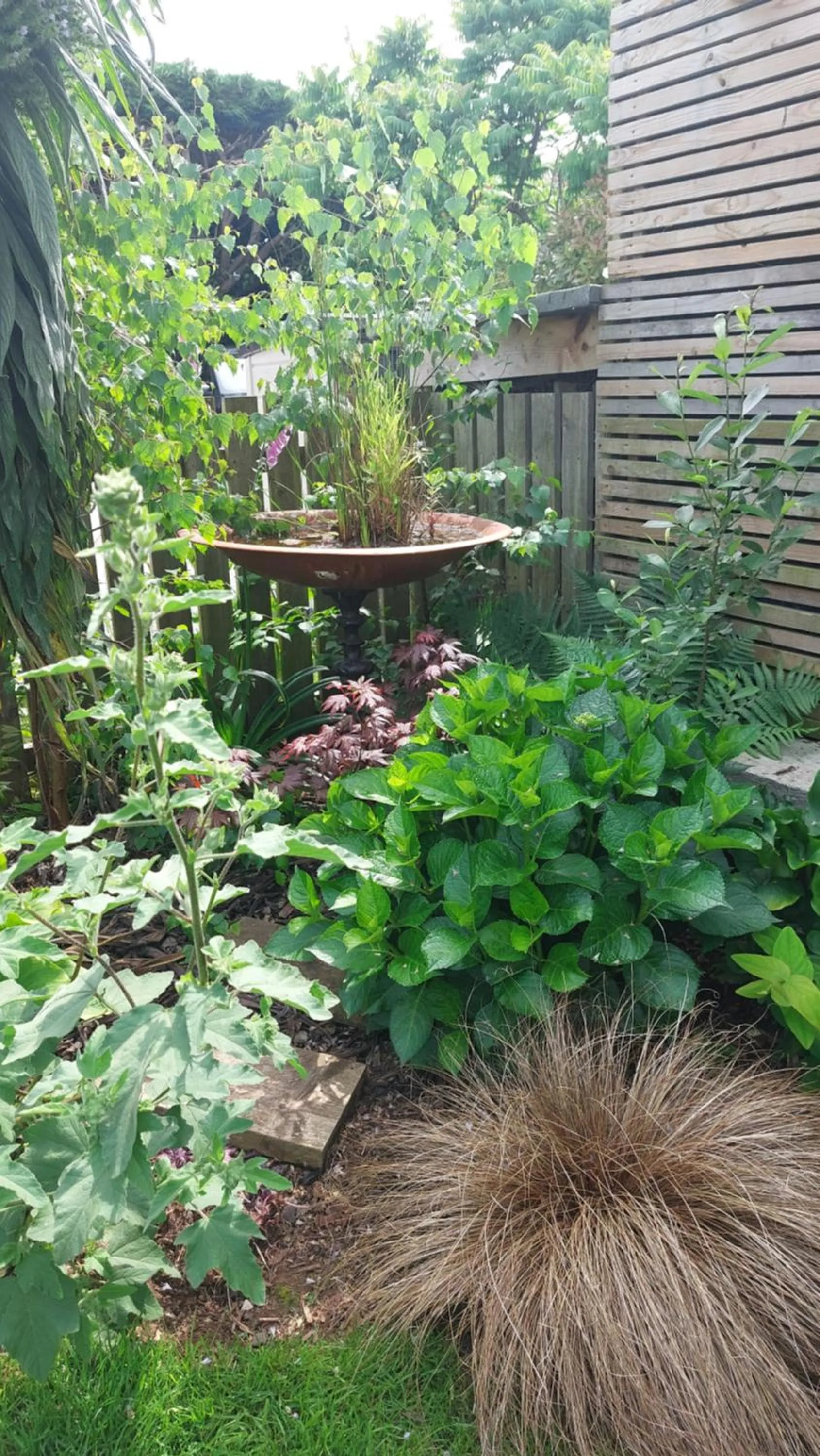 Garden in Two Beaches