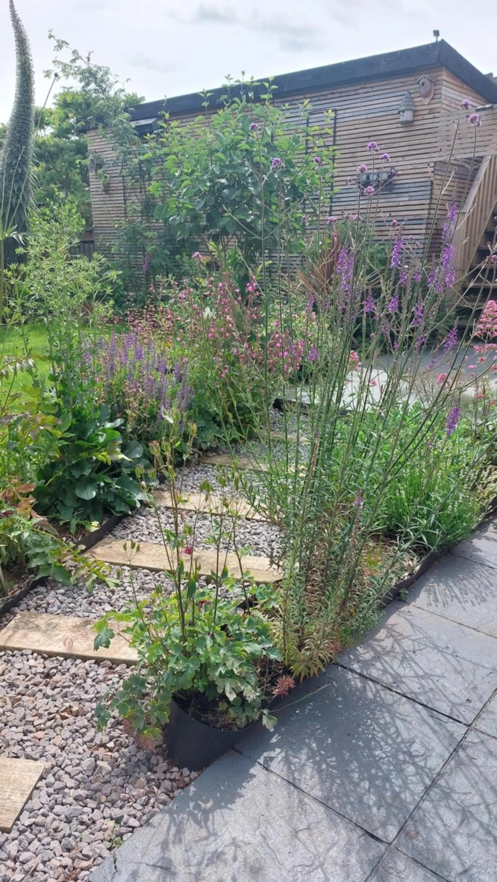 Garden in Two Beaches