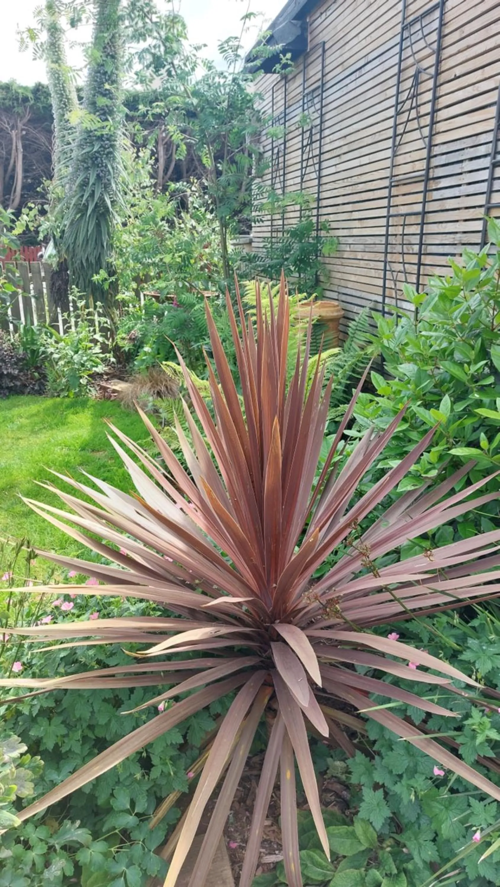 Garden in Two Beaches