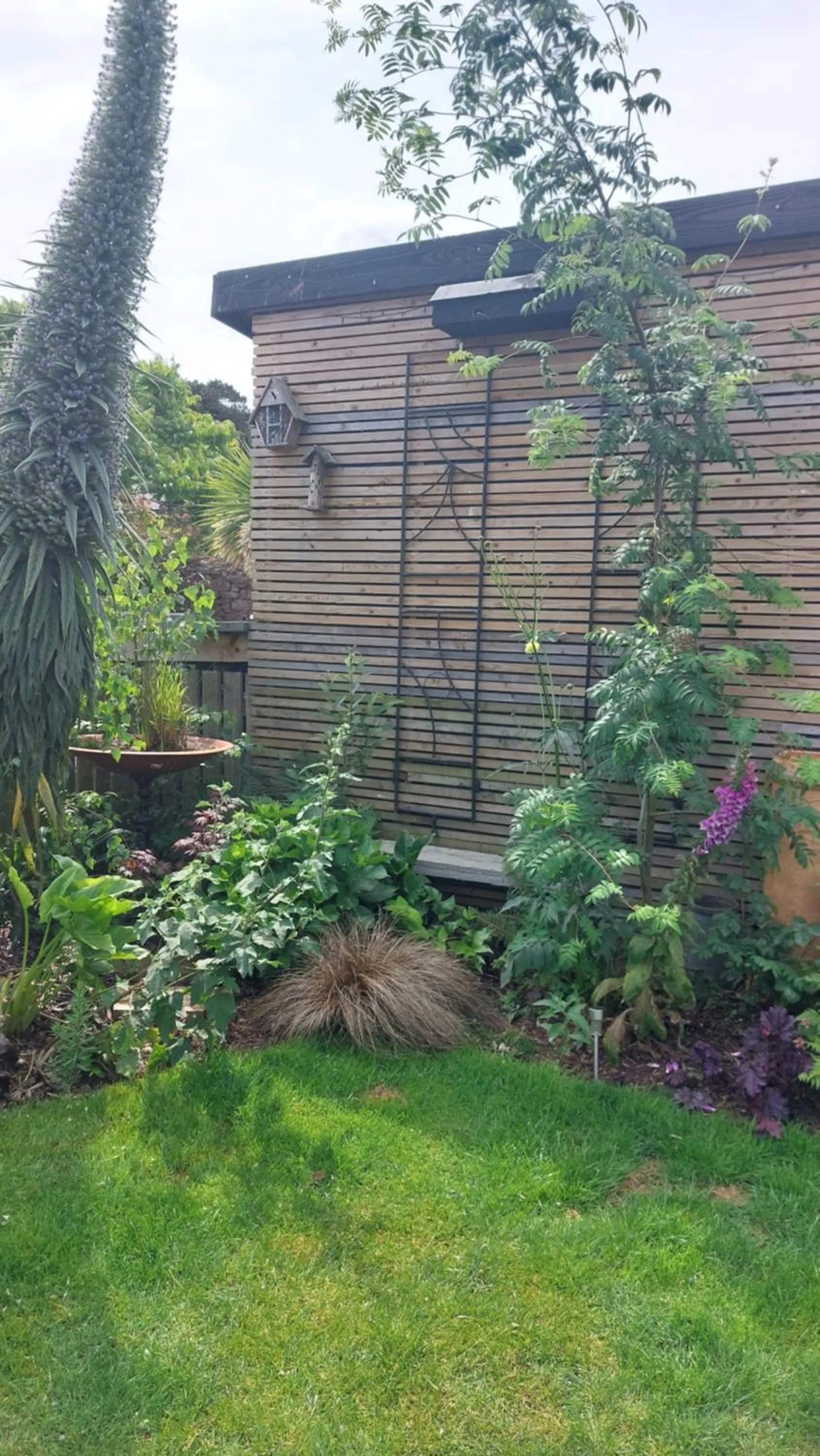 Garden in Two Beaches