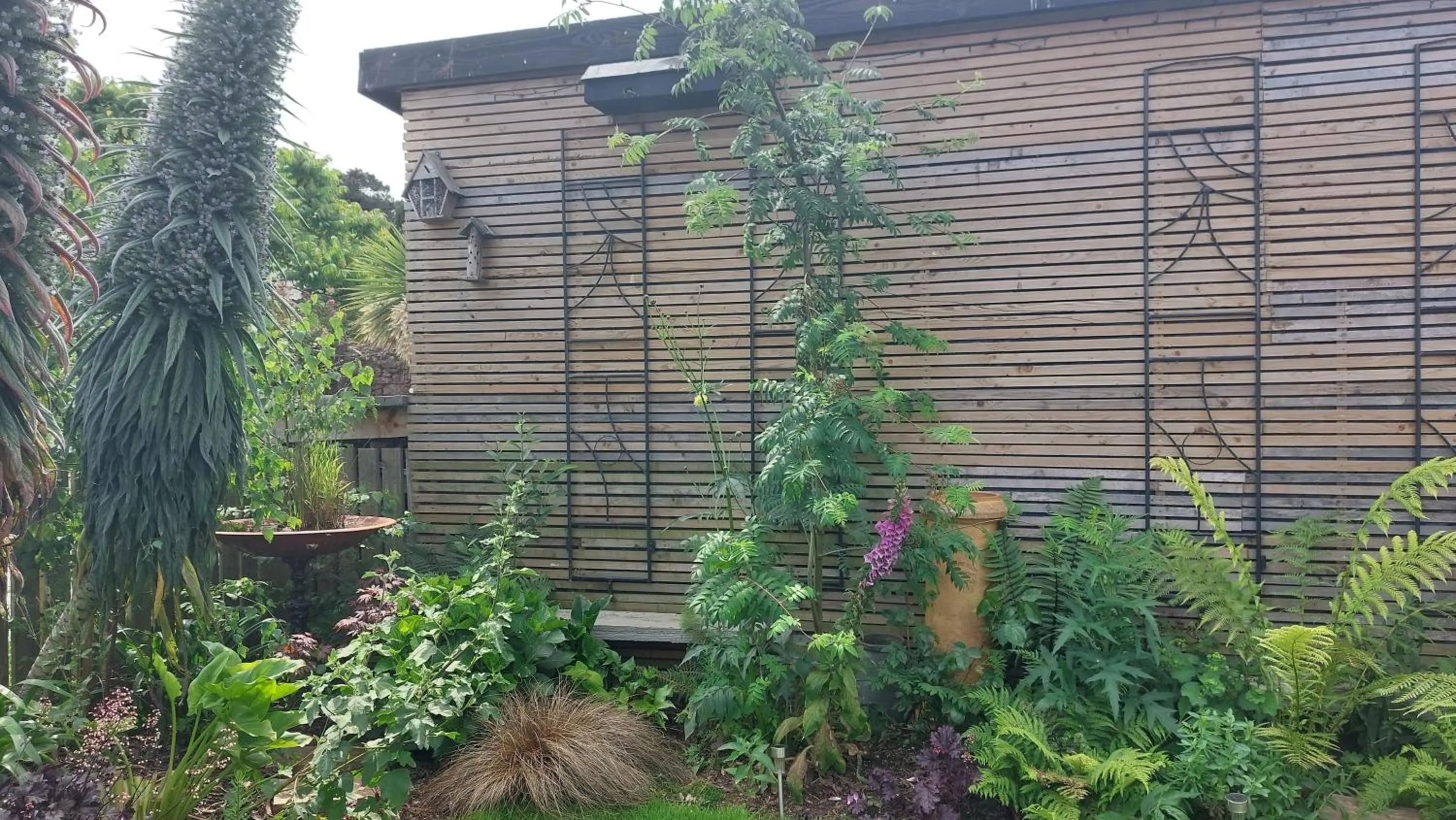 Garden in Two Beaches