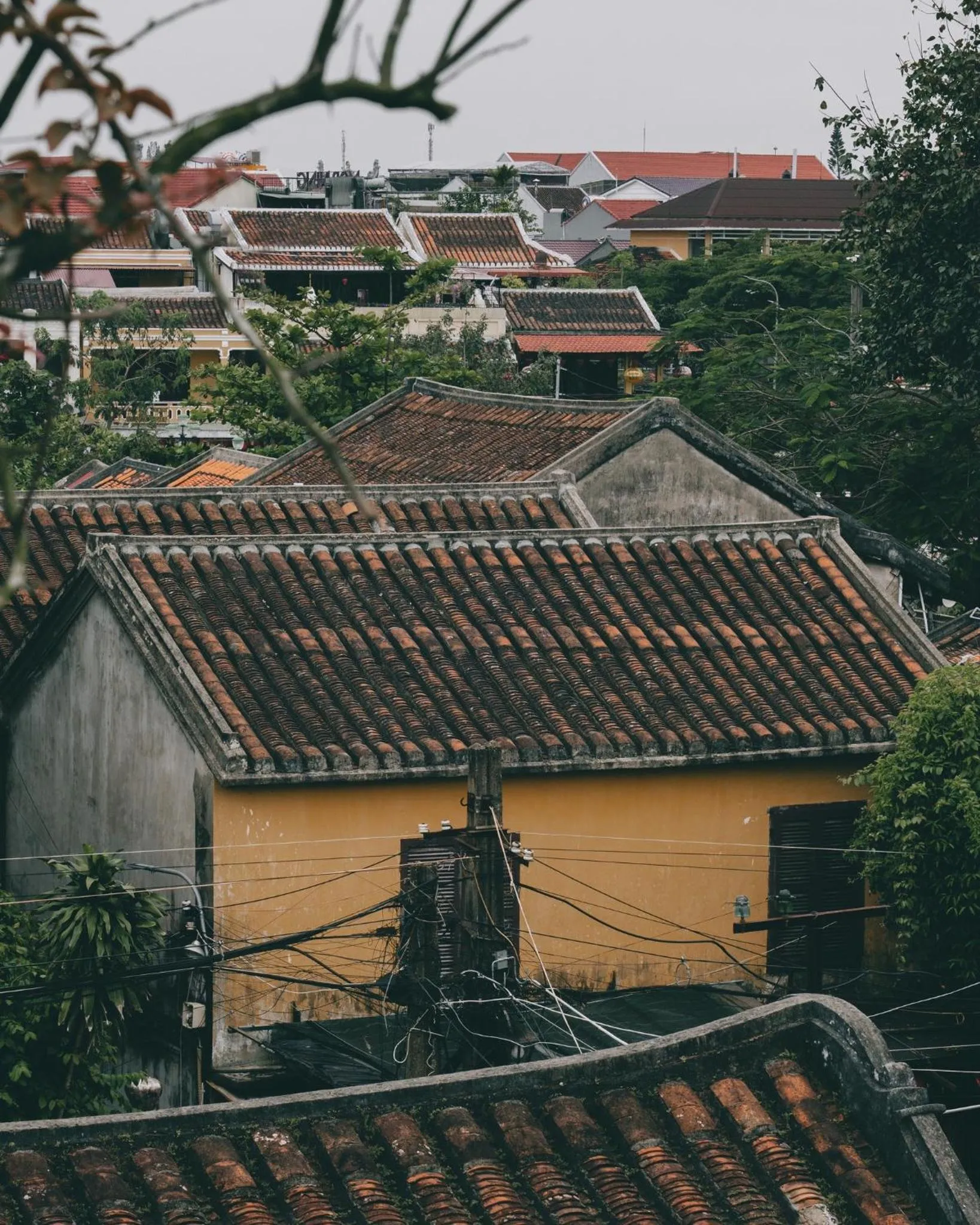 Natural landscape in Cozy Savvy Hoi An - The Quintessence of Exquisite Retreat