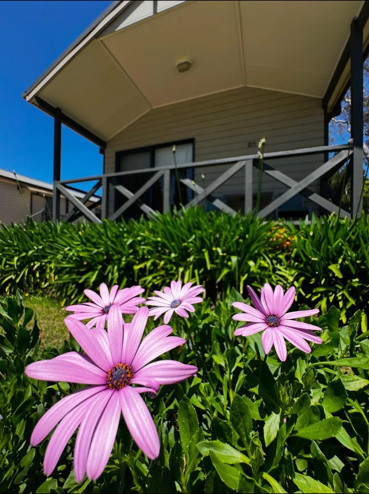 Property building in Eaglehawk Park Canberra