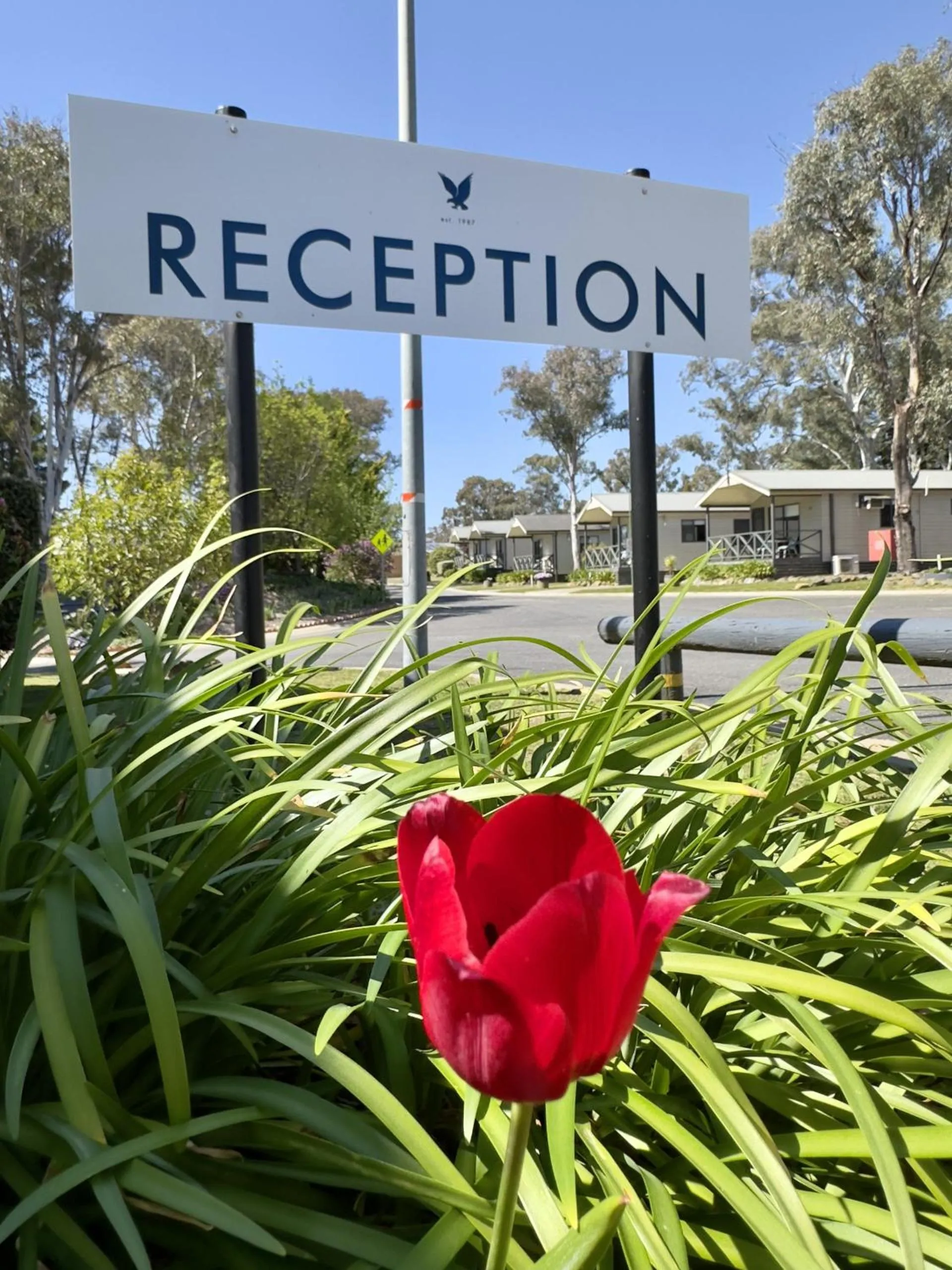 Garden in Eaglehawk Park Canberra