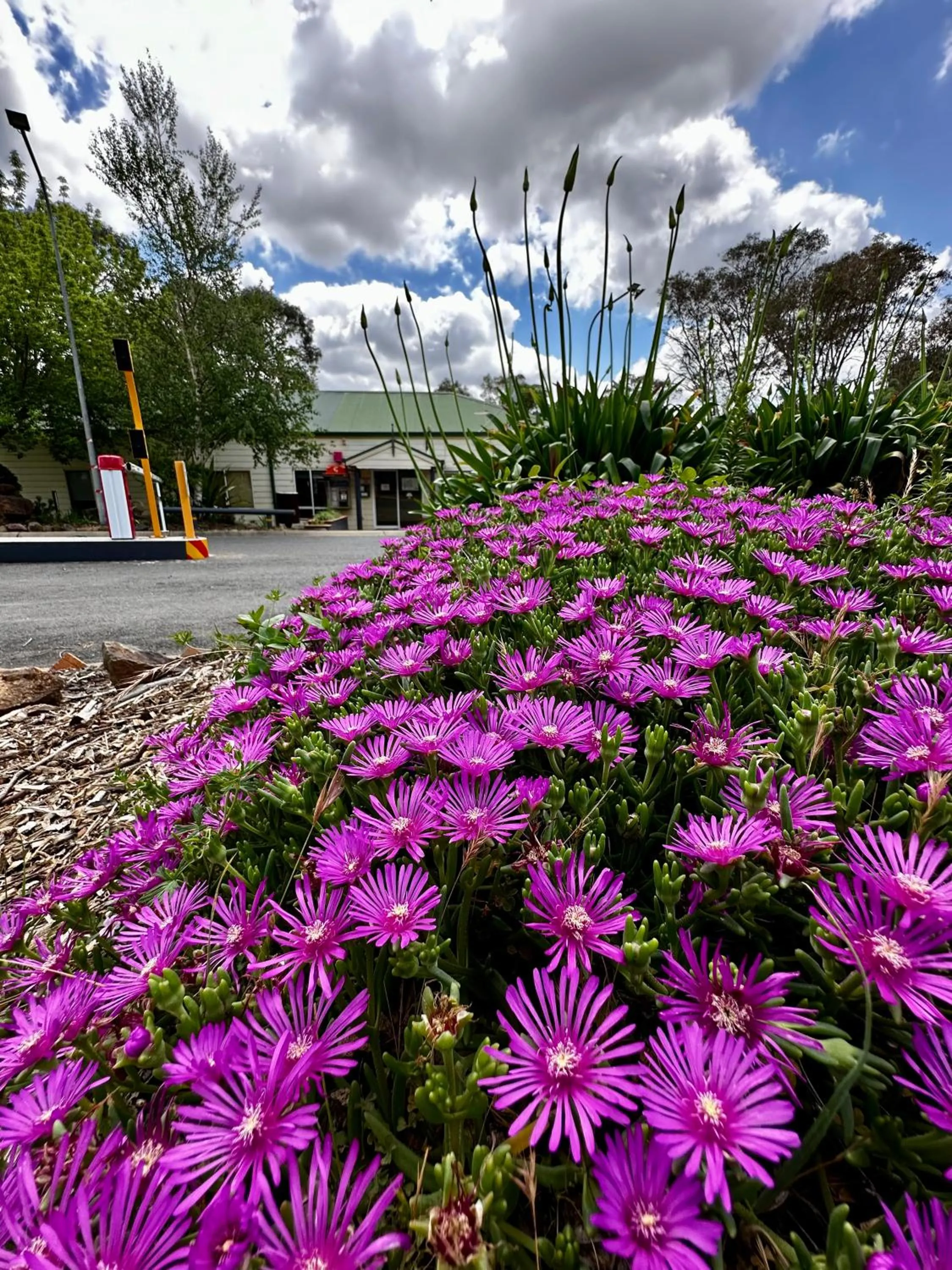 Property building in Eaglehawk Park Canberra
