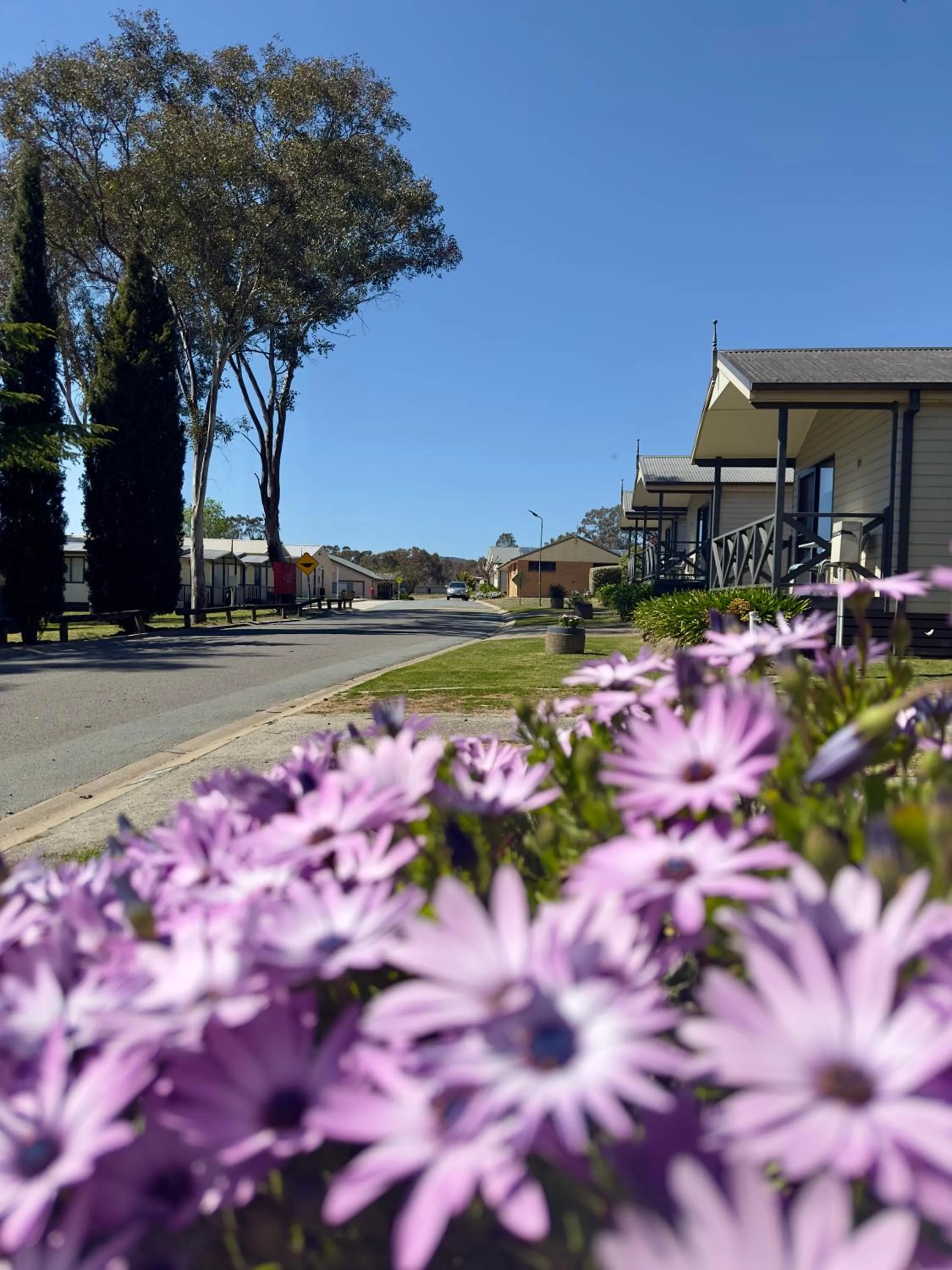 Garden view in Eaglehawk Park Canberra