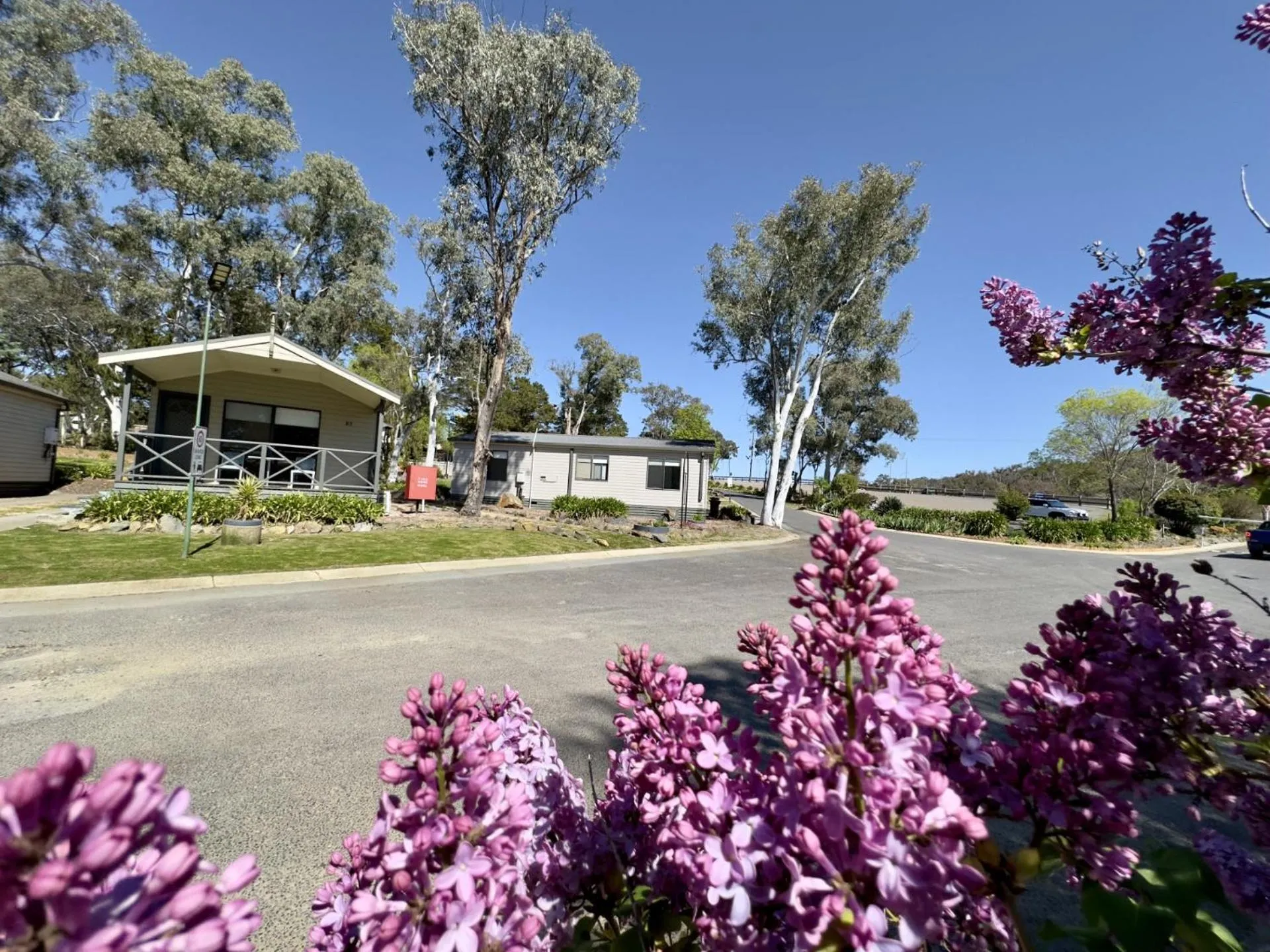 Garden in Eaglehawk Park Canberra