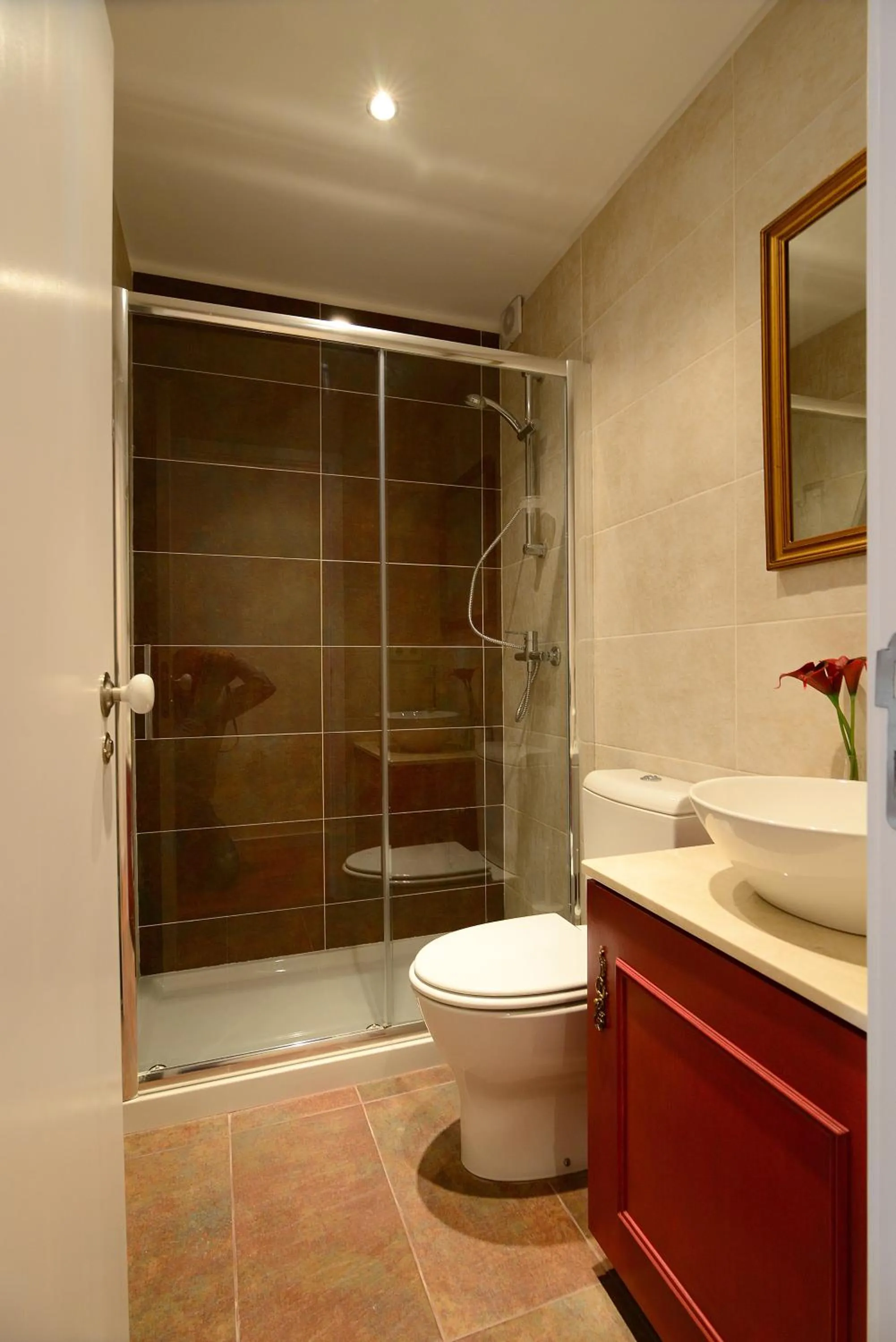 Bathroom in Vitoria Apartments