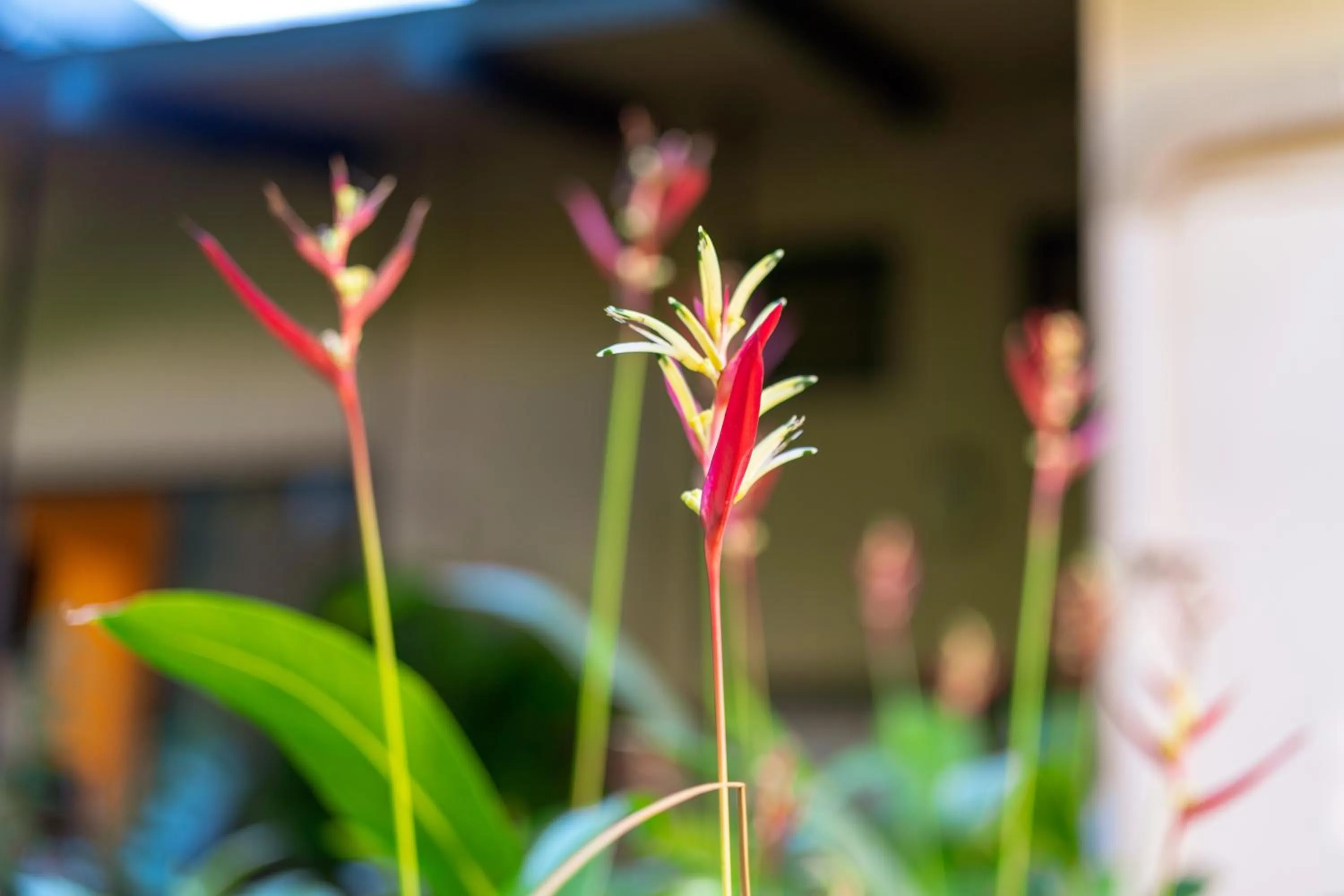 Noahs Hideaway Luxury B&B