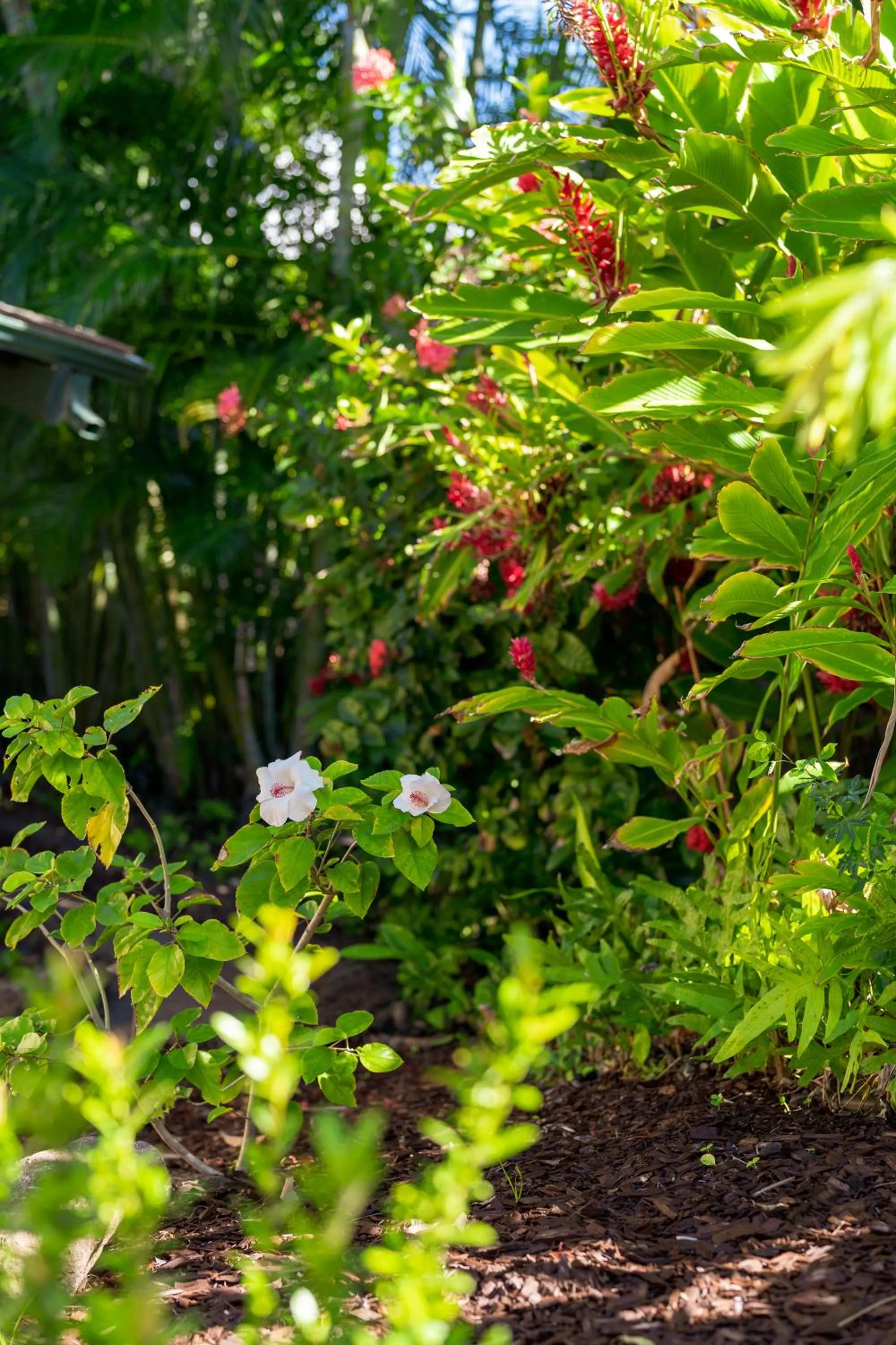 Natural landscape in Noahs Hideaway Luxury B&B