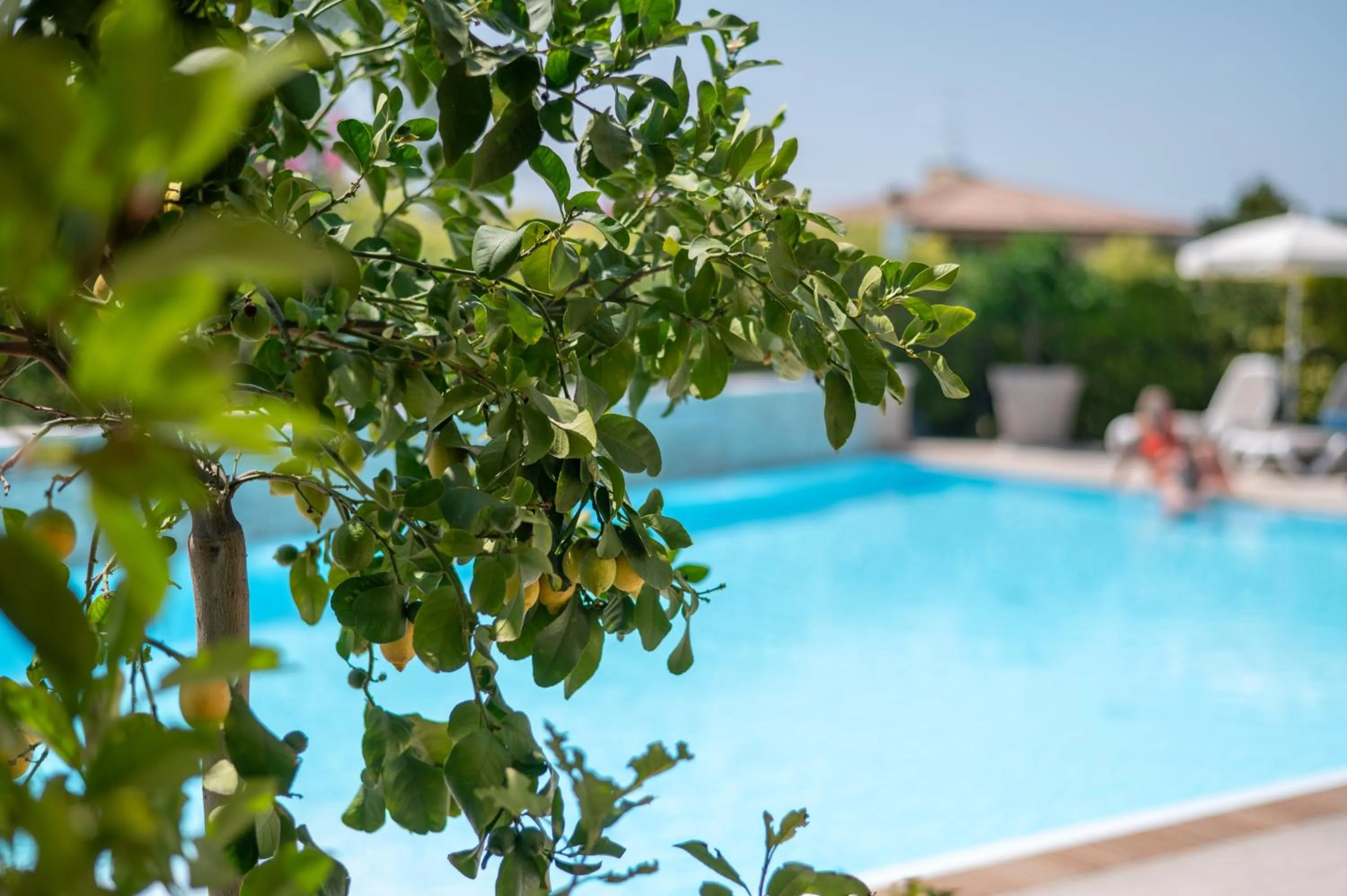 Hotel Relais Agli Olivi