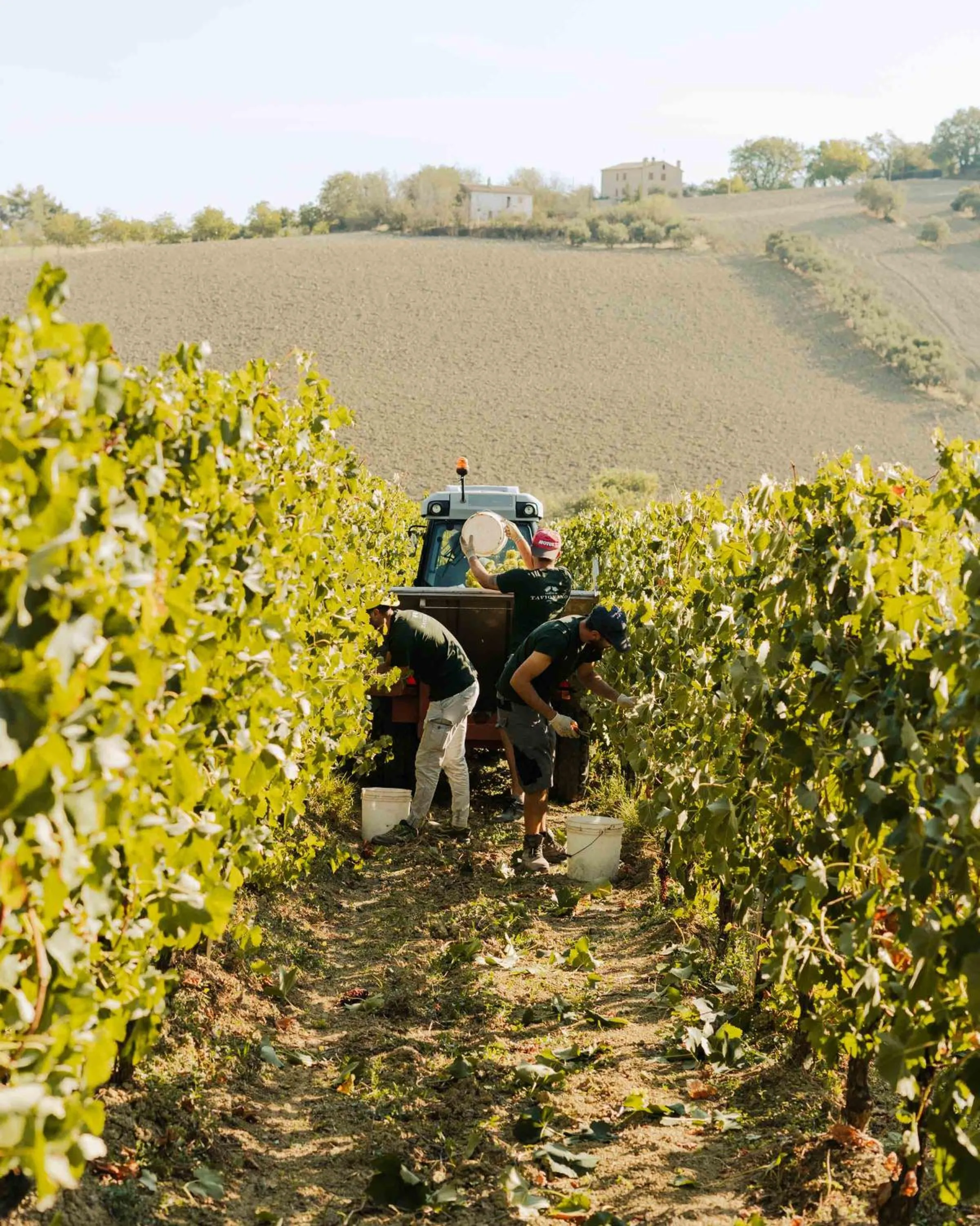 Natural landscape in La Guest House della Tenuta di Tavignano