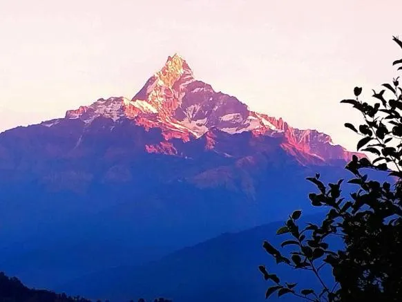 Himalayan Deurali Resort