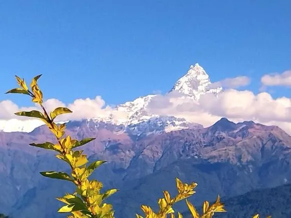 Mountain view in Himalayan Deurali Resort