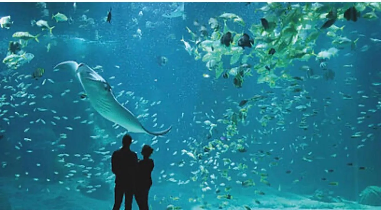 Activities in Hôtel OpalOriental Boulogne Sur Mer - gare ville et centre