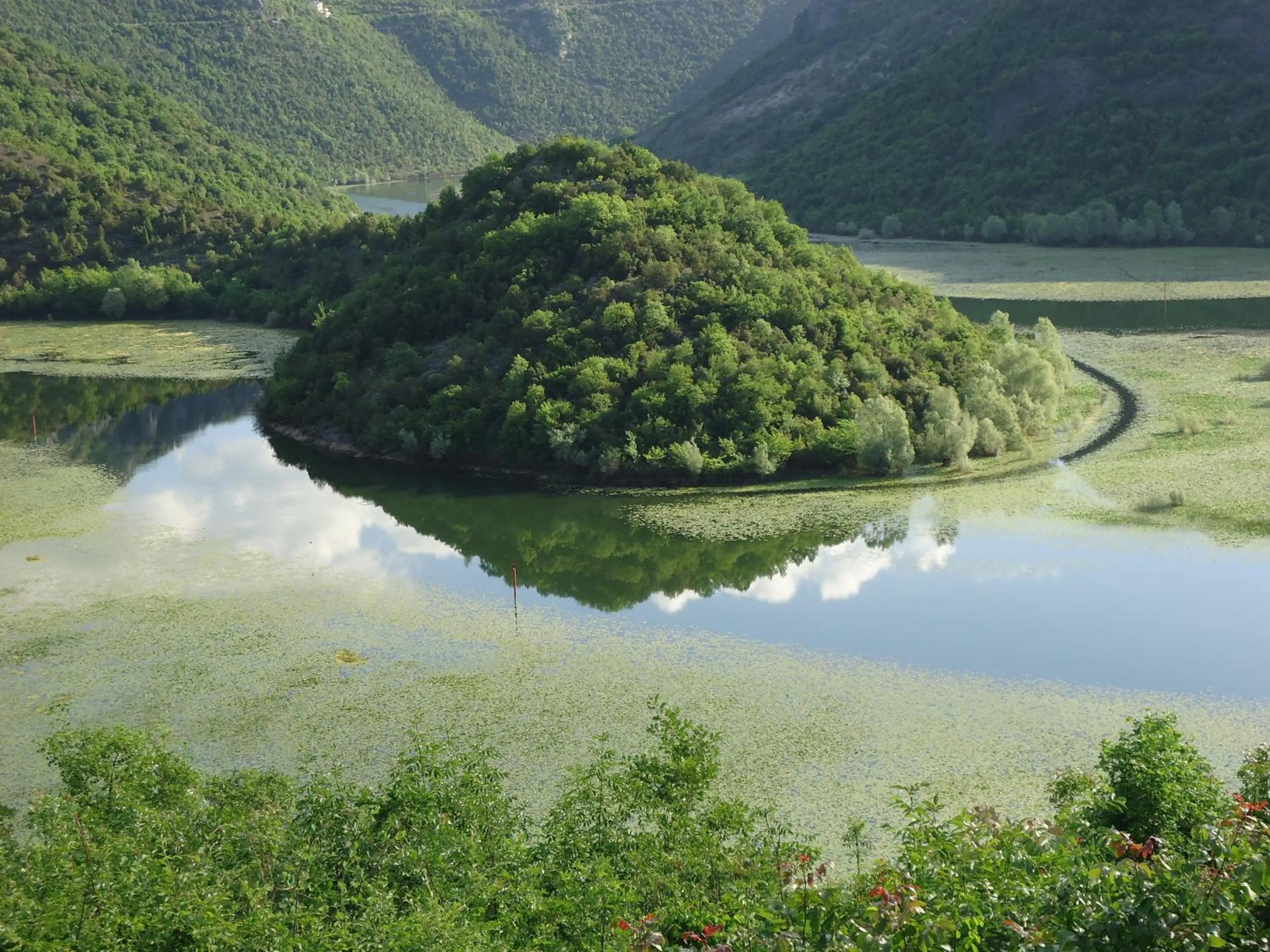Fishing in Hotel Pelikan