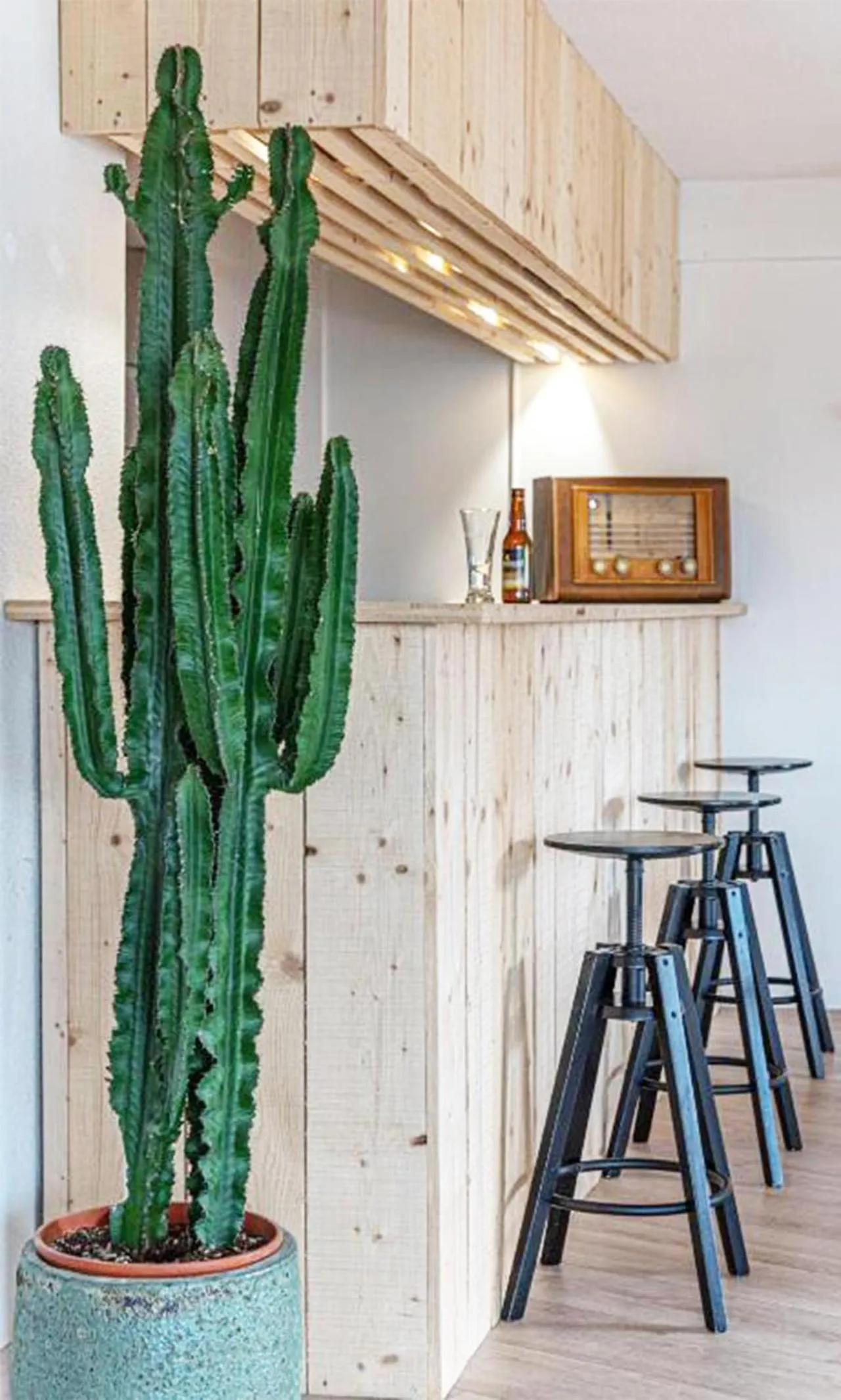 Spring in Naéco Le Pouldu