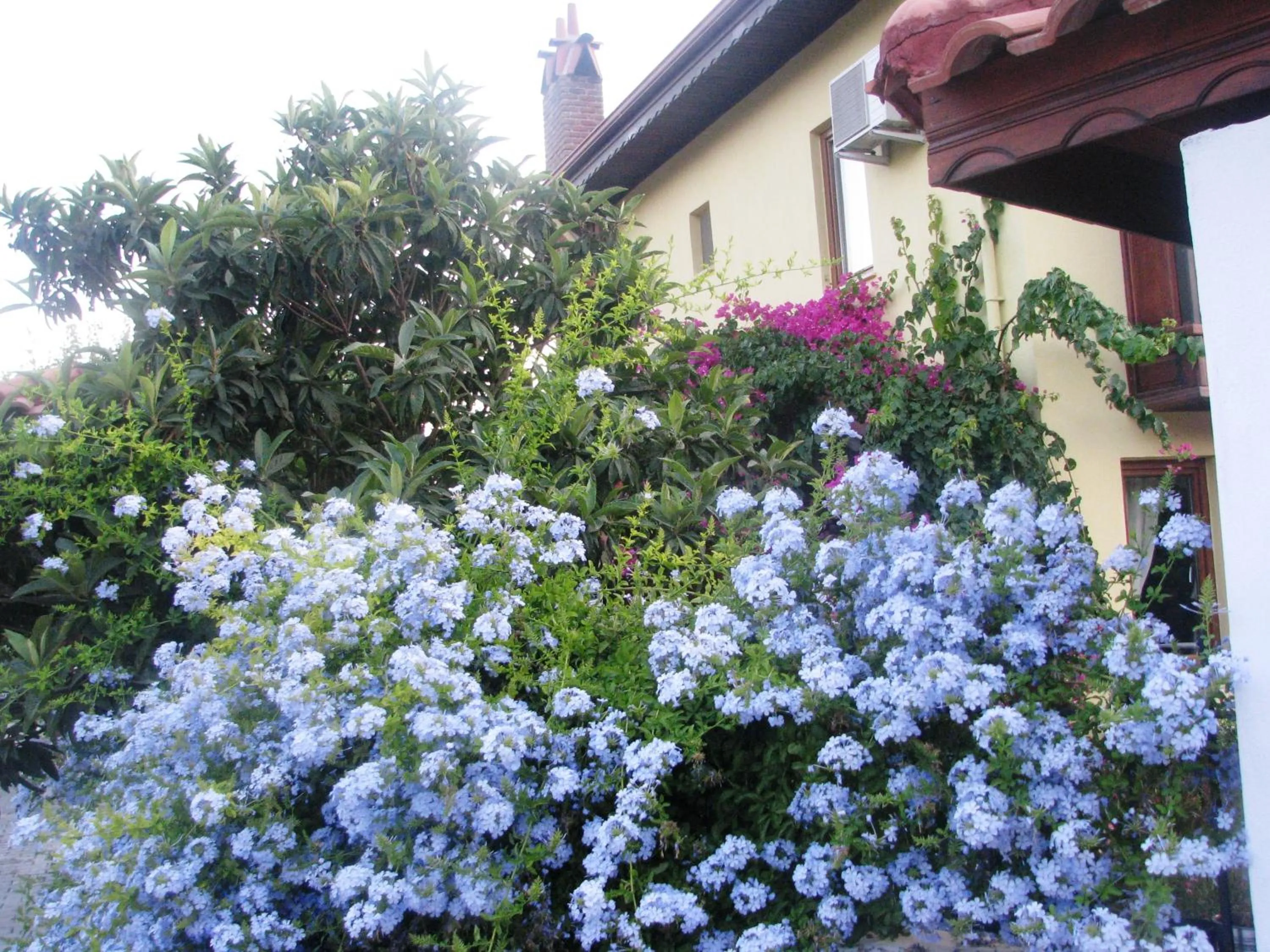 Property building in Kybele Hotel Gocek