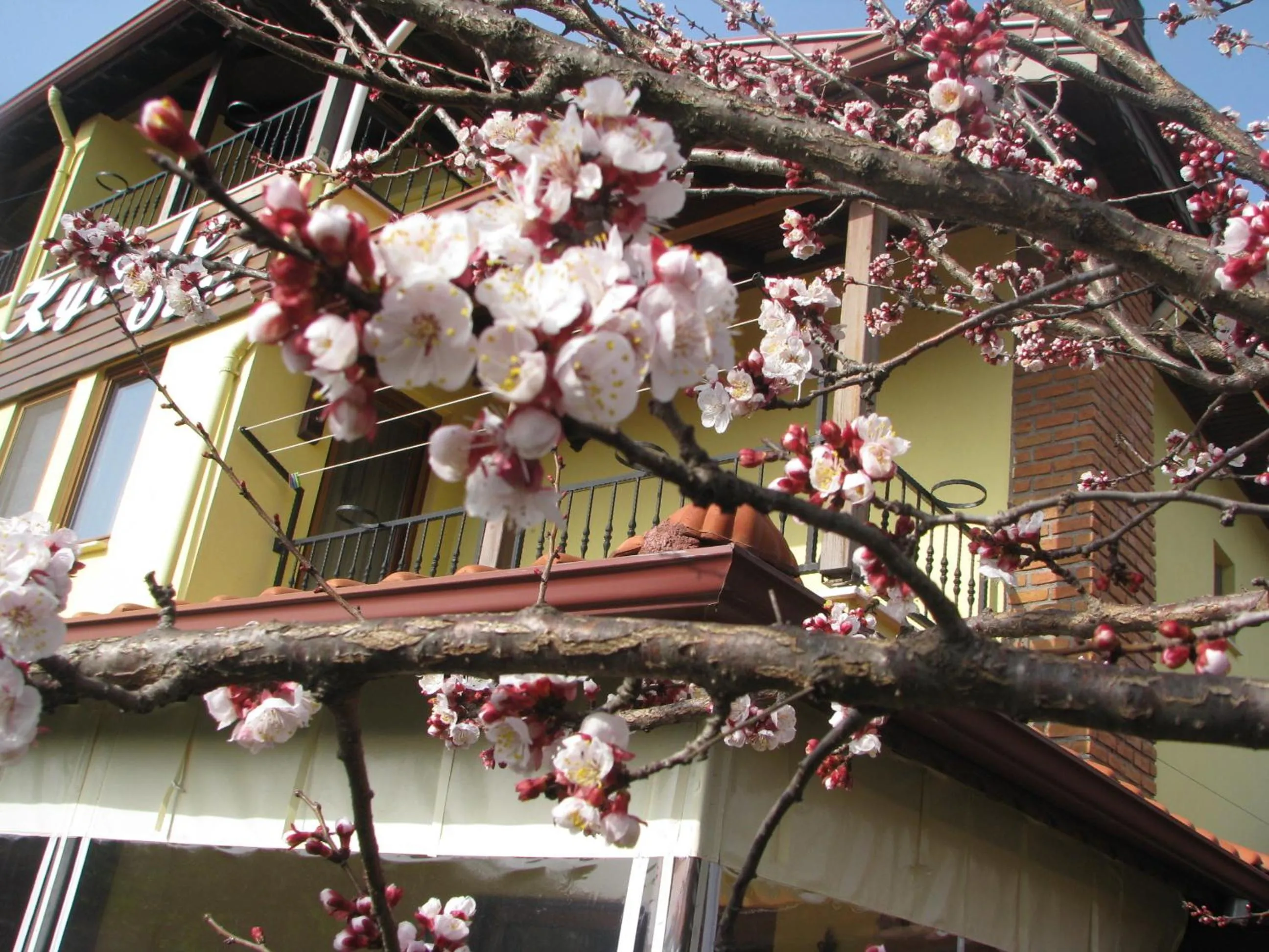 Property building in Kybele Hotel Gocek