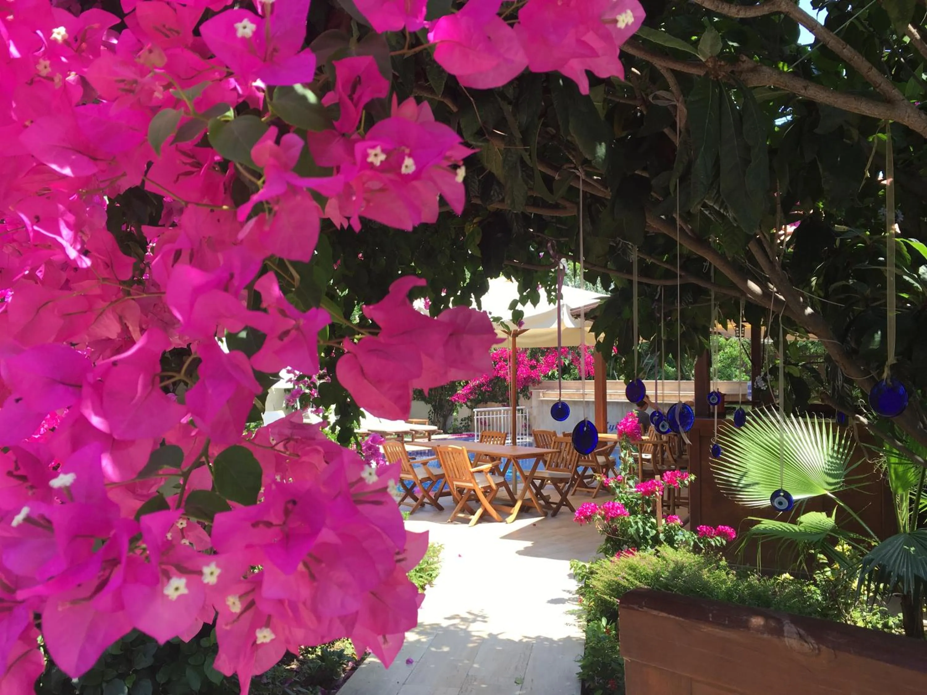 Garden view in Kybele Hotel Gocek