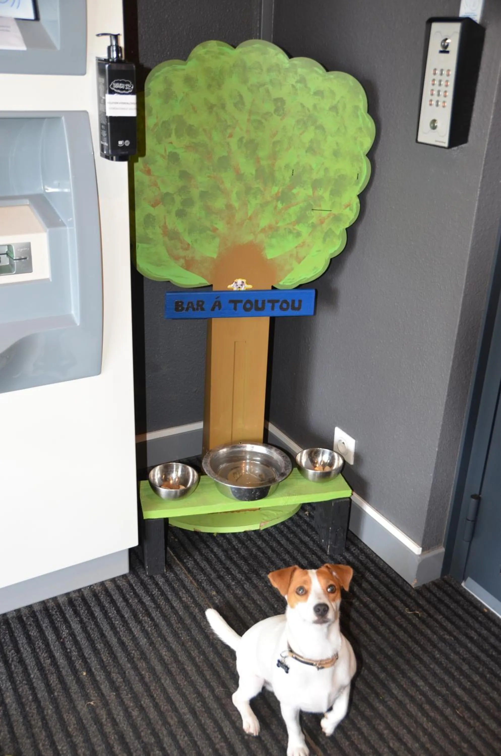 Animals in ibis budget Rouen Nord Isneauville