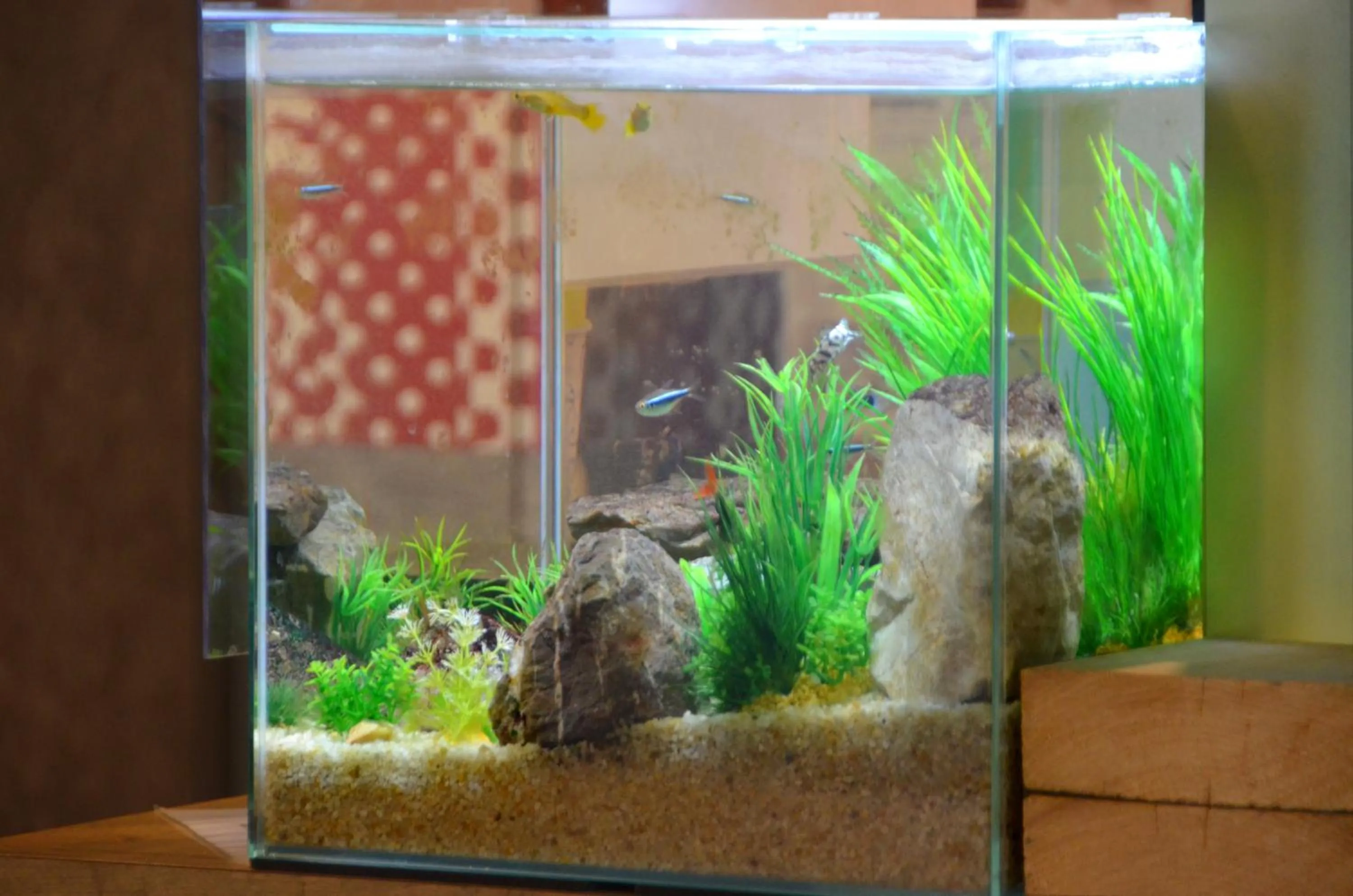 Lobby or reception in ibis budget Rouen Nord Isneauville