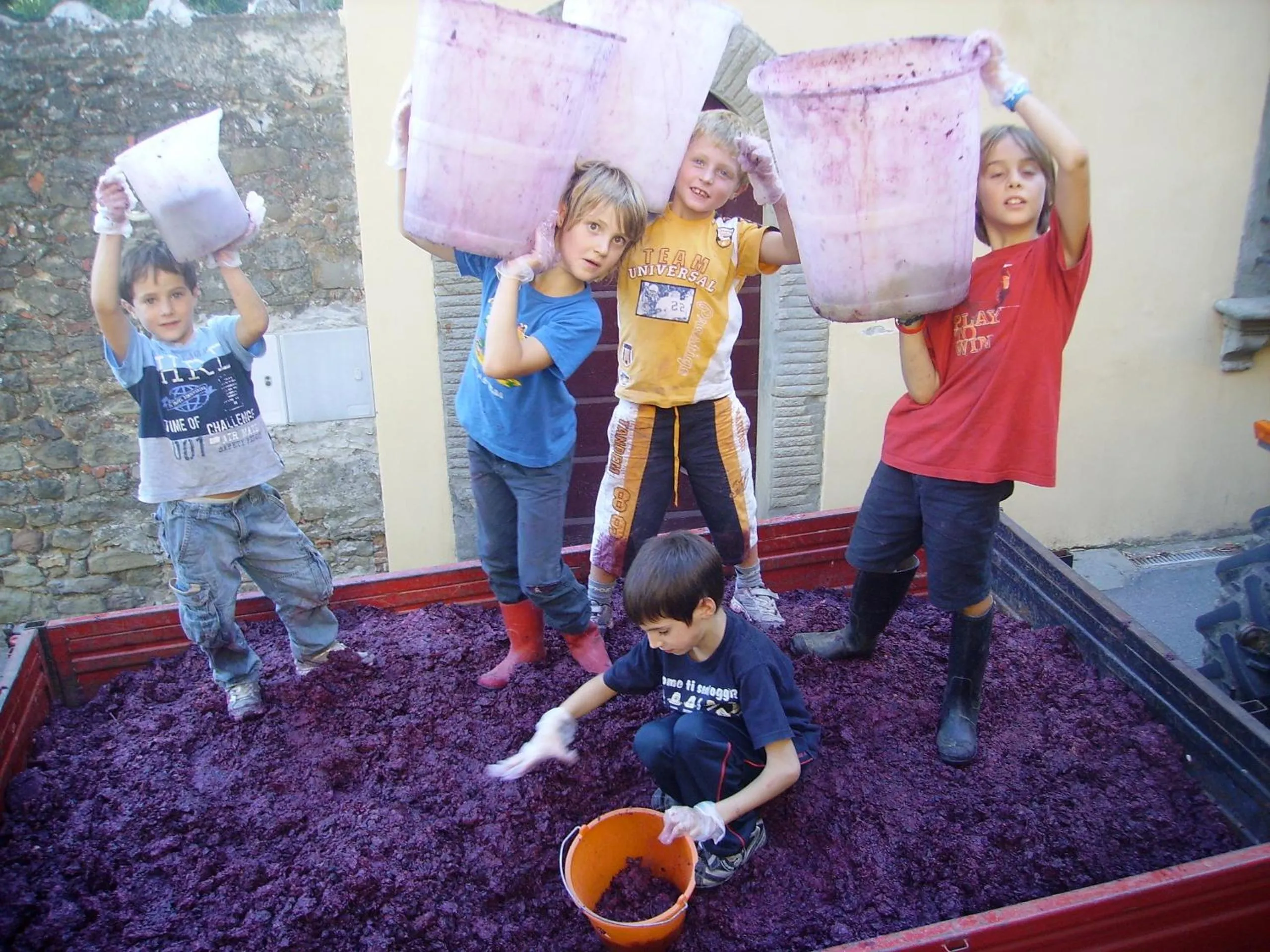 Activities in Fattoria Gambaro di Petrognano